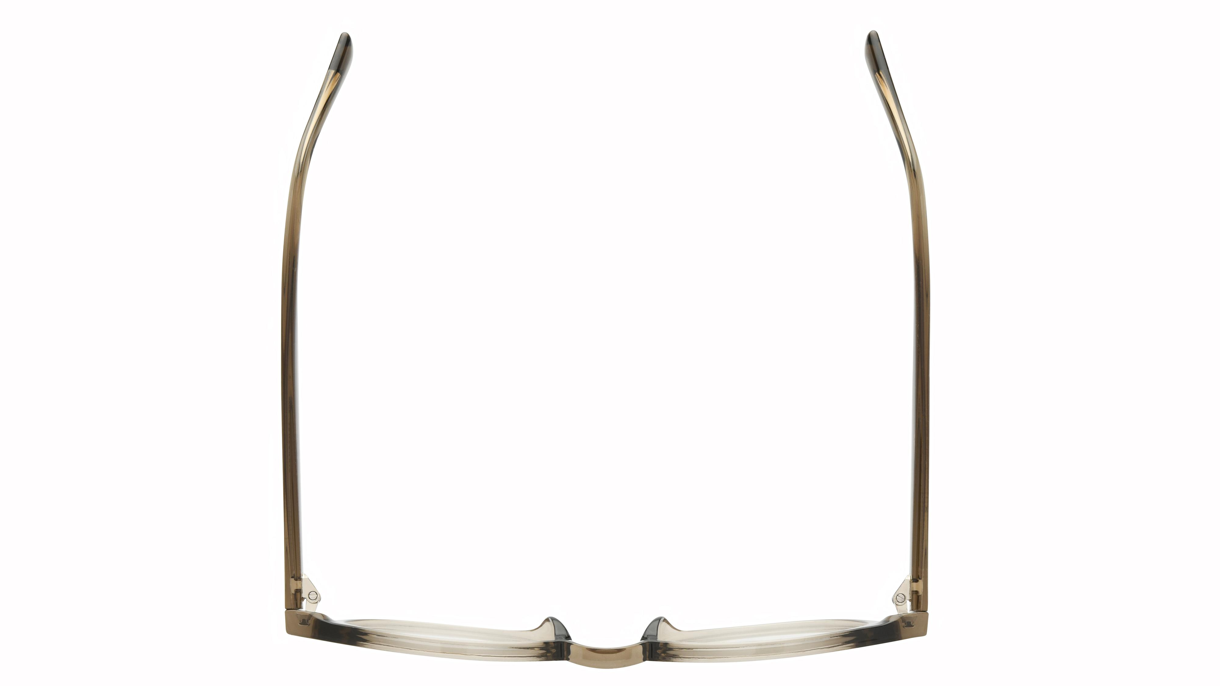 Lunettes de vue Krys Origine Homme Marron Pantos Ess2604 Dessus