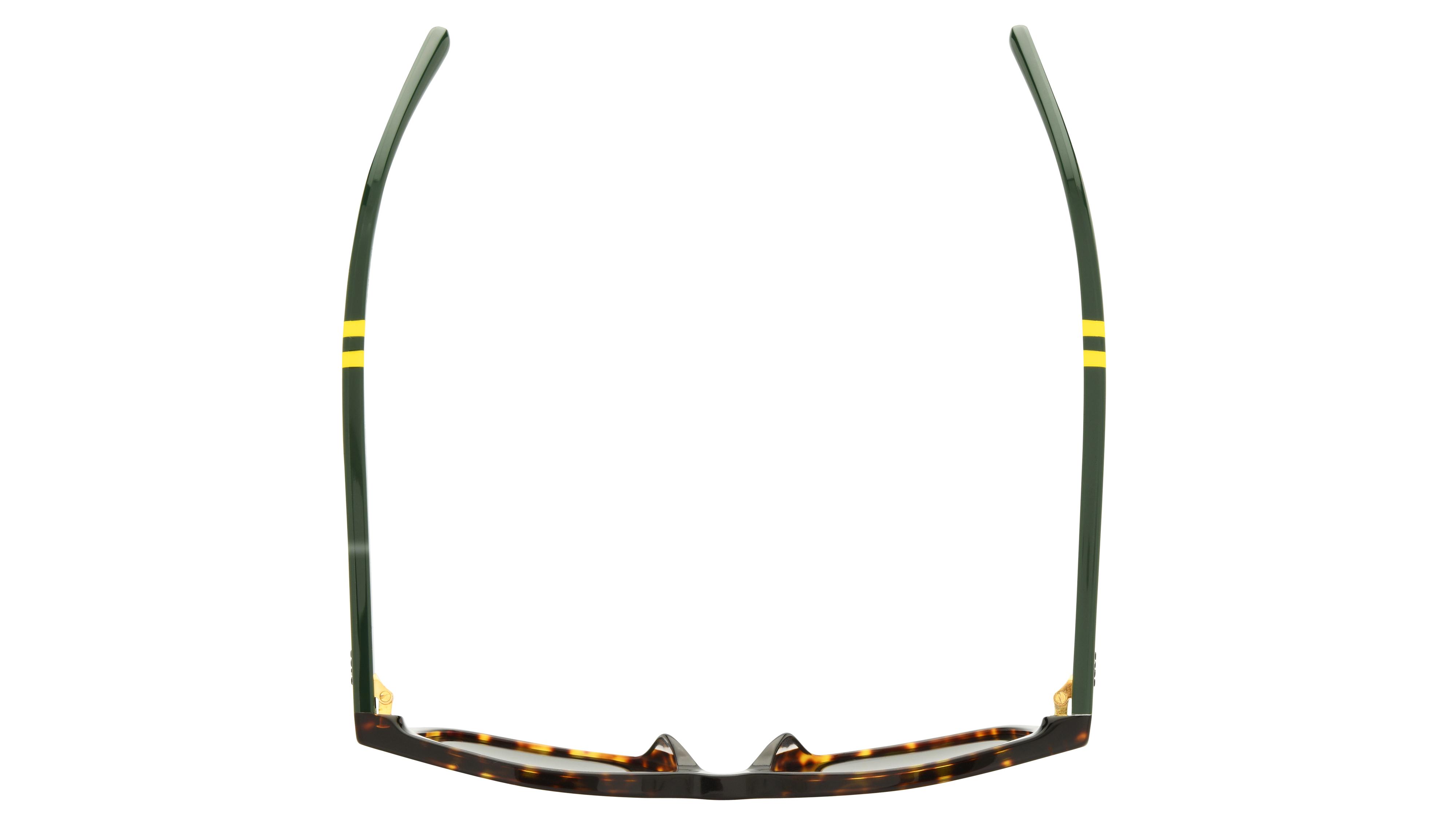 Lunettes de soleil Polo Ralph Lauren Homme Écaille Carré PH4235U Dessus