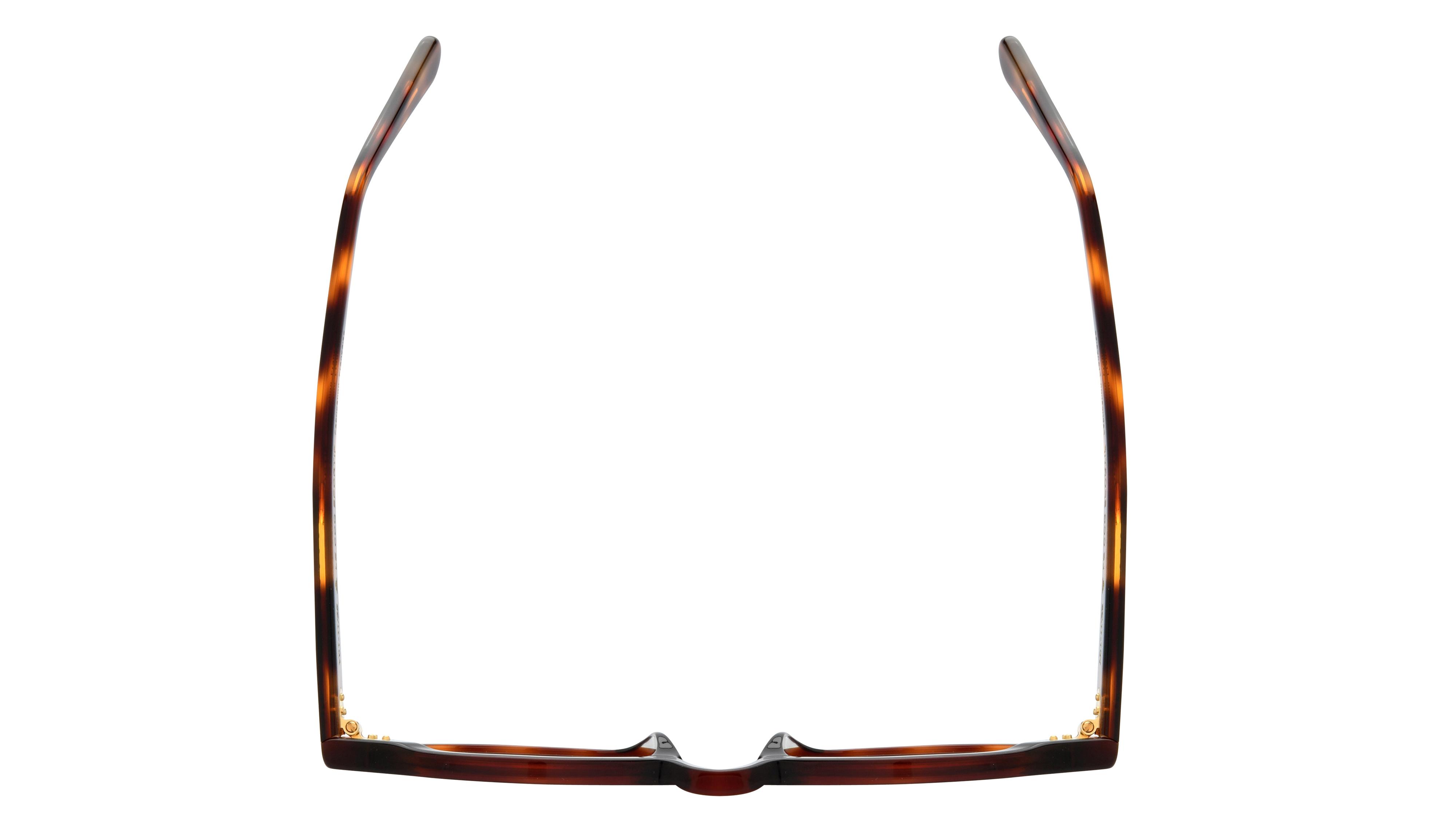 Lunettes de vue Le Coq Sportif Homme Écaille Pantos Lcs2505 Dessus