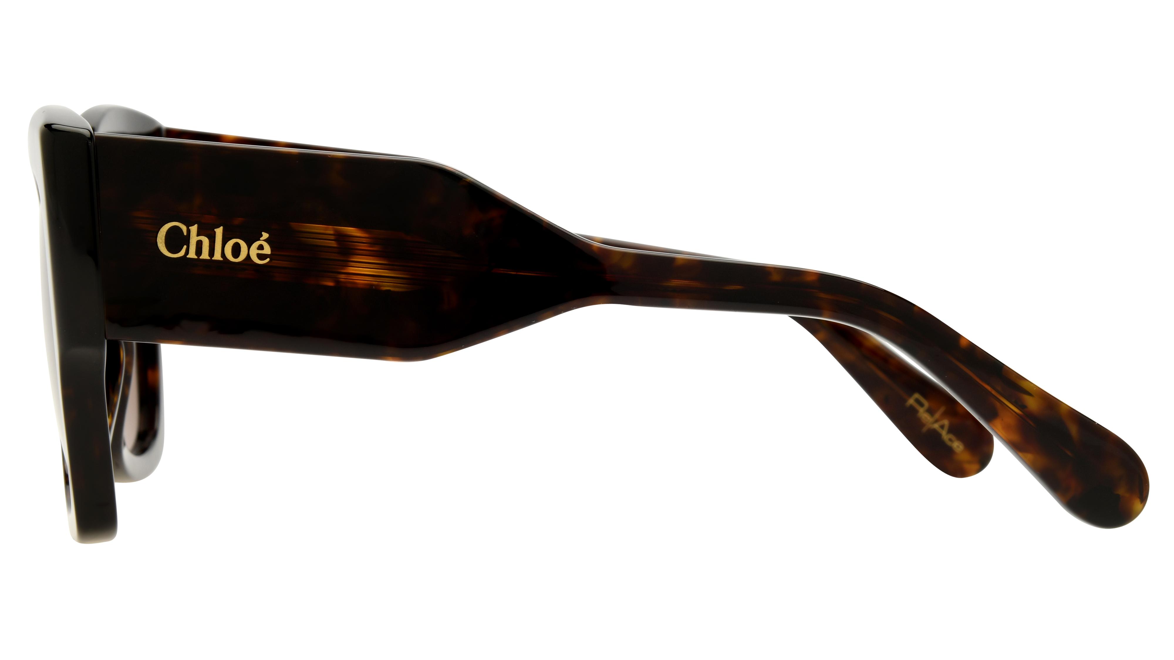 Lunettes de soleil Chloé Femme Écaille Papillon CH0252S Gauche