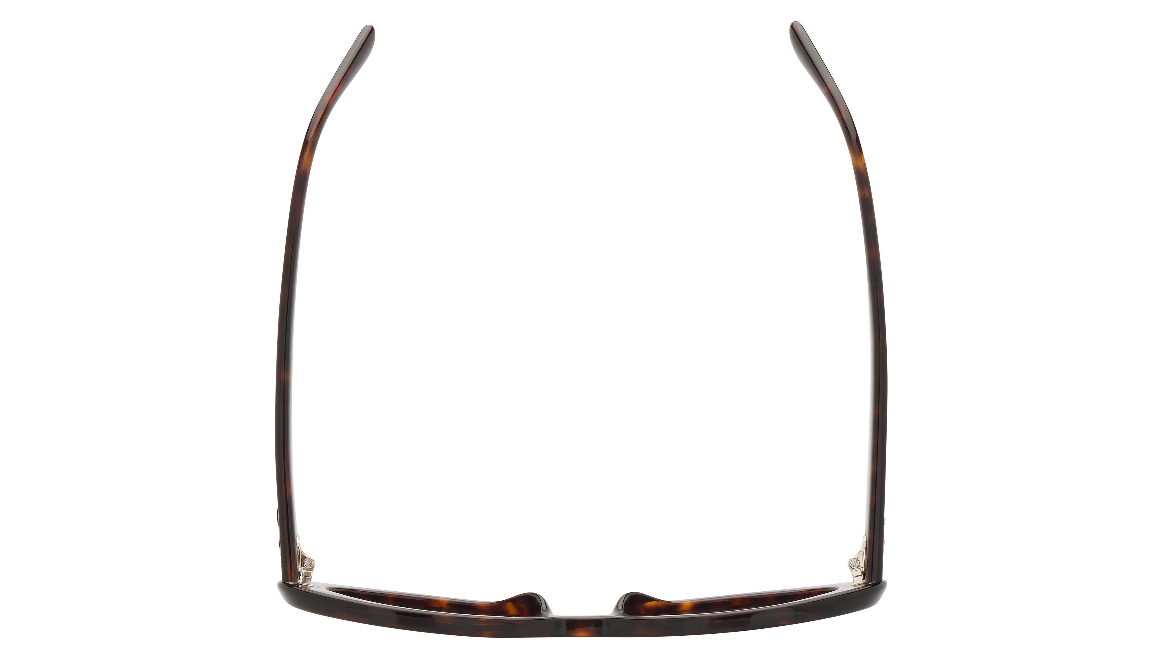 Lunettes de soleil Ray-Ban Femme Écaille Ovale RB2223 Dessus