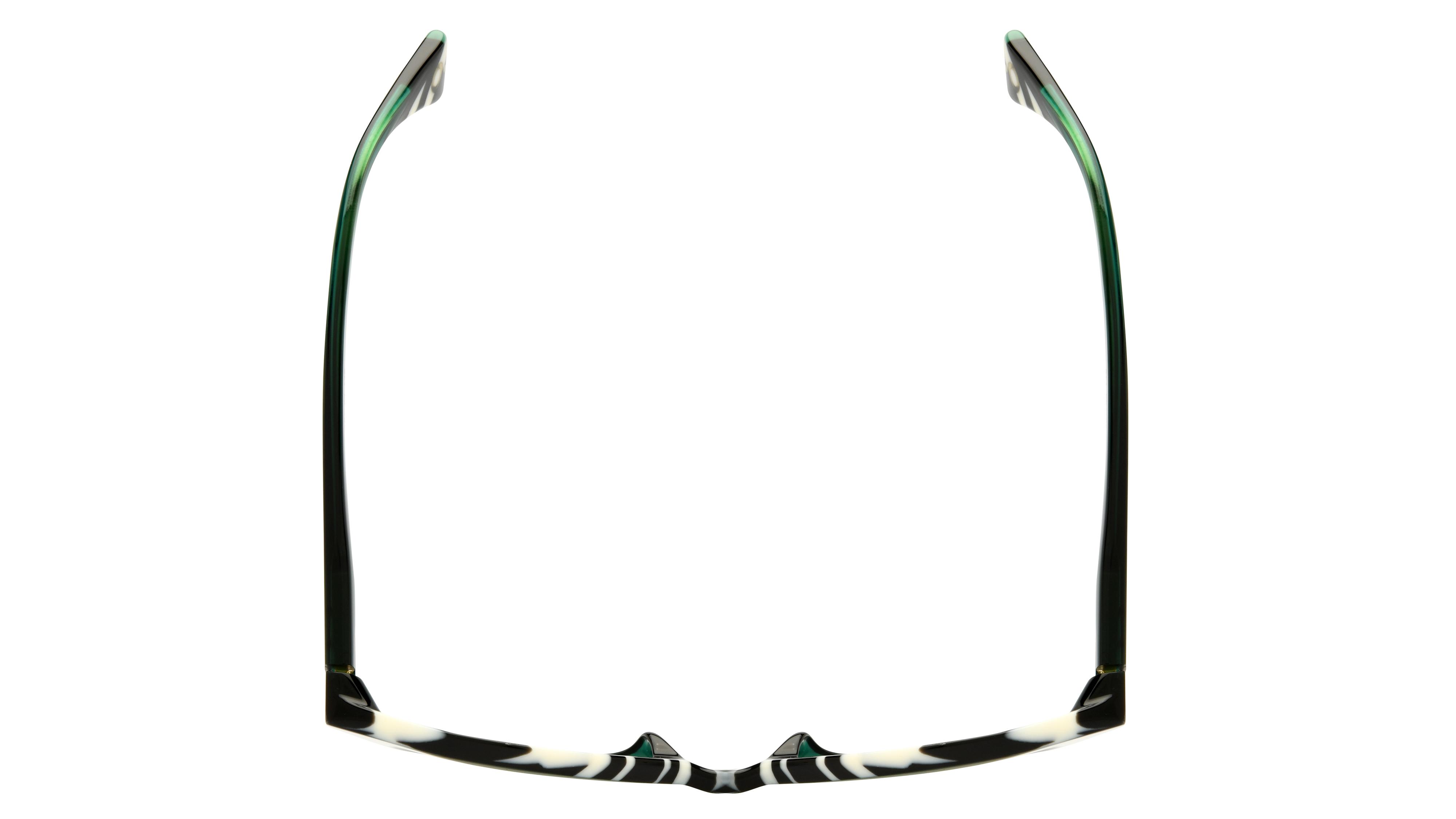 Lunettes de soleil Etnia Barcelona Femme Vert Ovale Ester Dessus