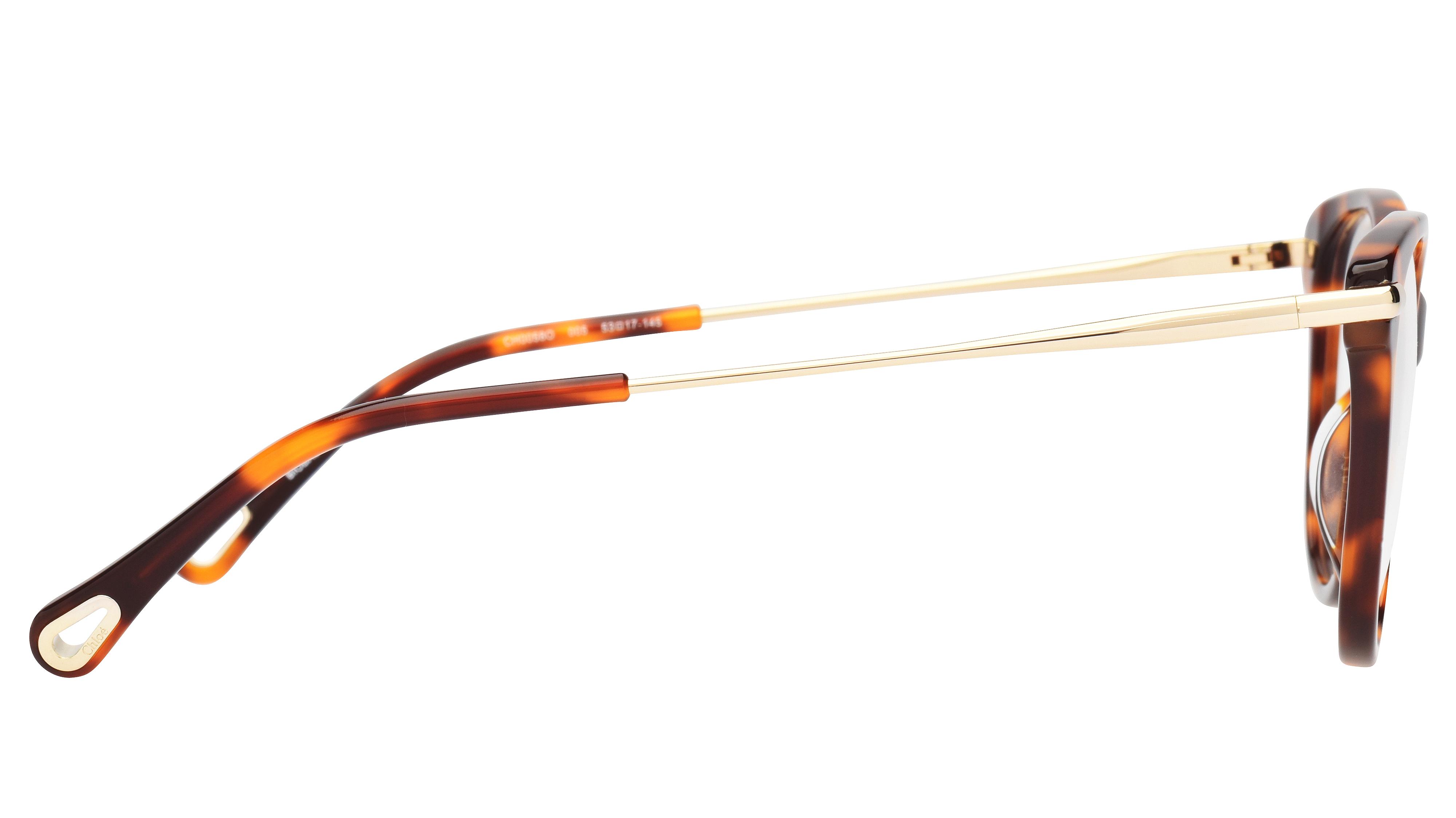 Lunettes de vue Chloé Femme Écaille Papillon Ch0058O Droite