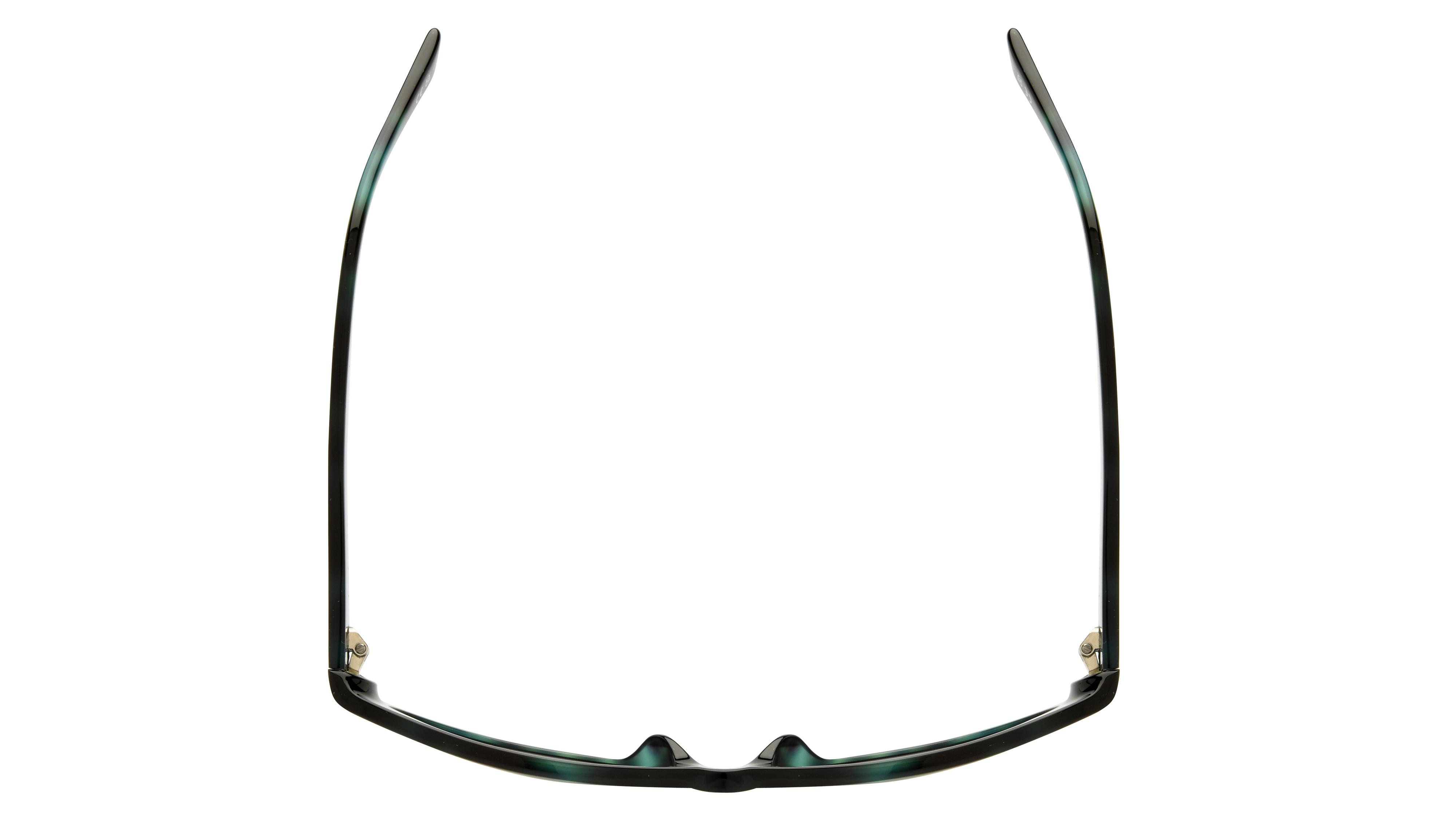 Lunettes de soleil Balenciaga Femme Écaille Ovale Bb0367S Dessus