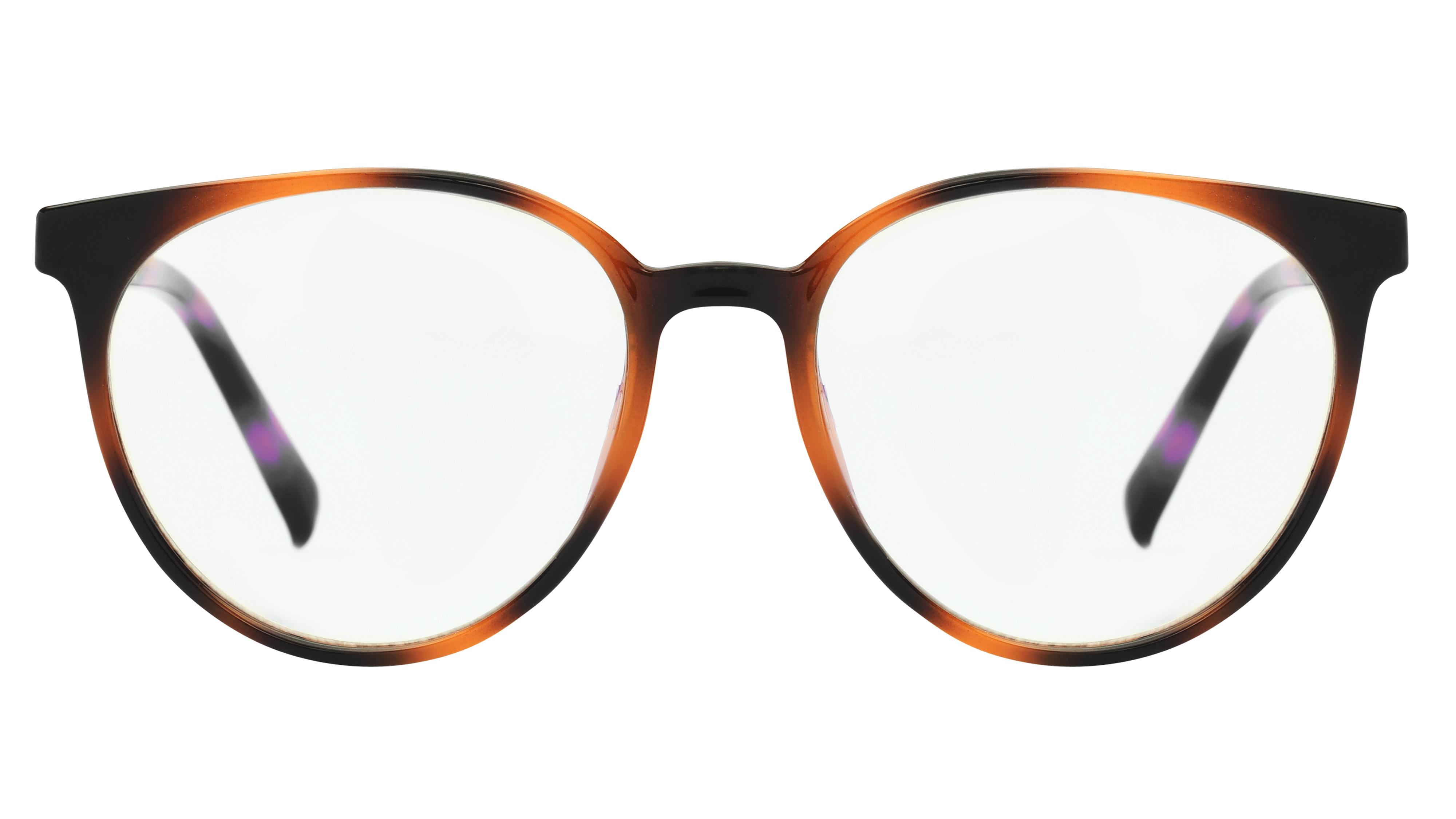 Lunettes anti-lumière bleue Signature Krys Femme Écaille Ronde Skpap-E2108 Face