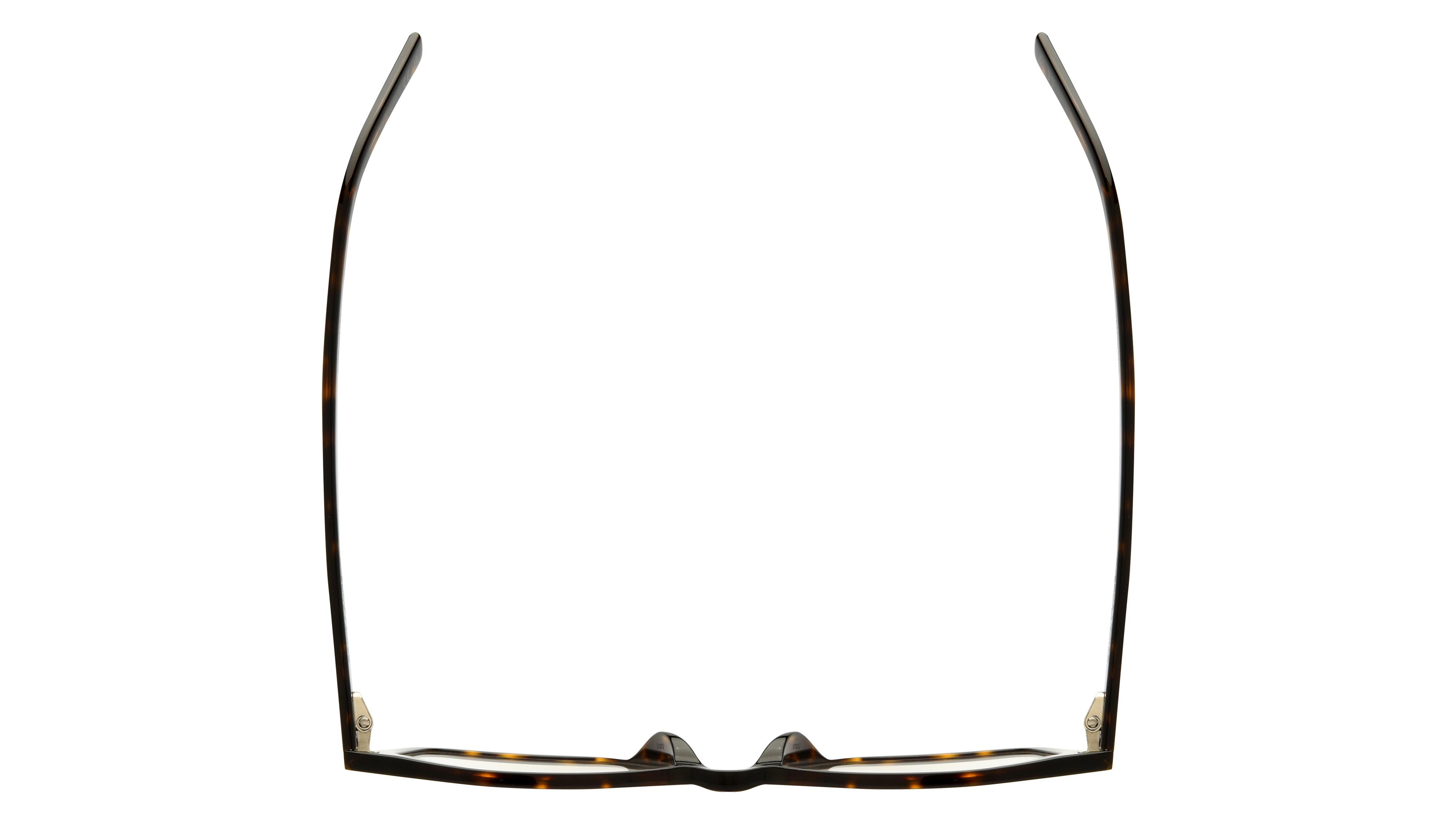 Lunettes de vue Saint Laurent Femme Écaille Rectangle SL Dessus