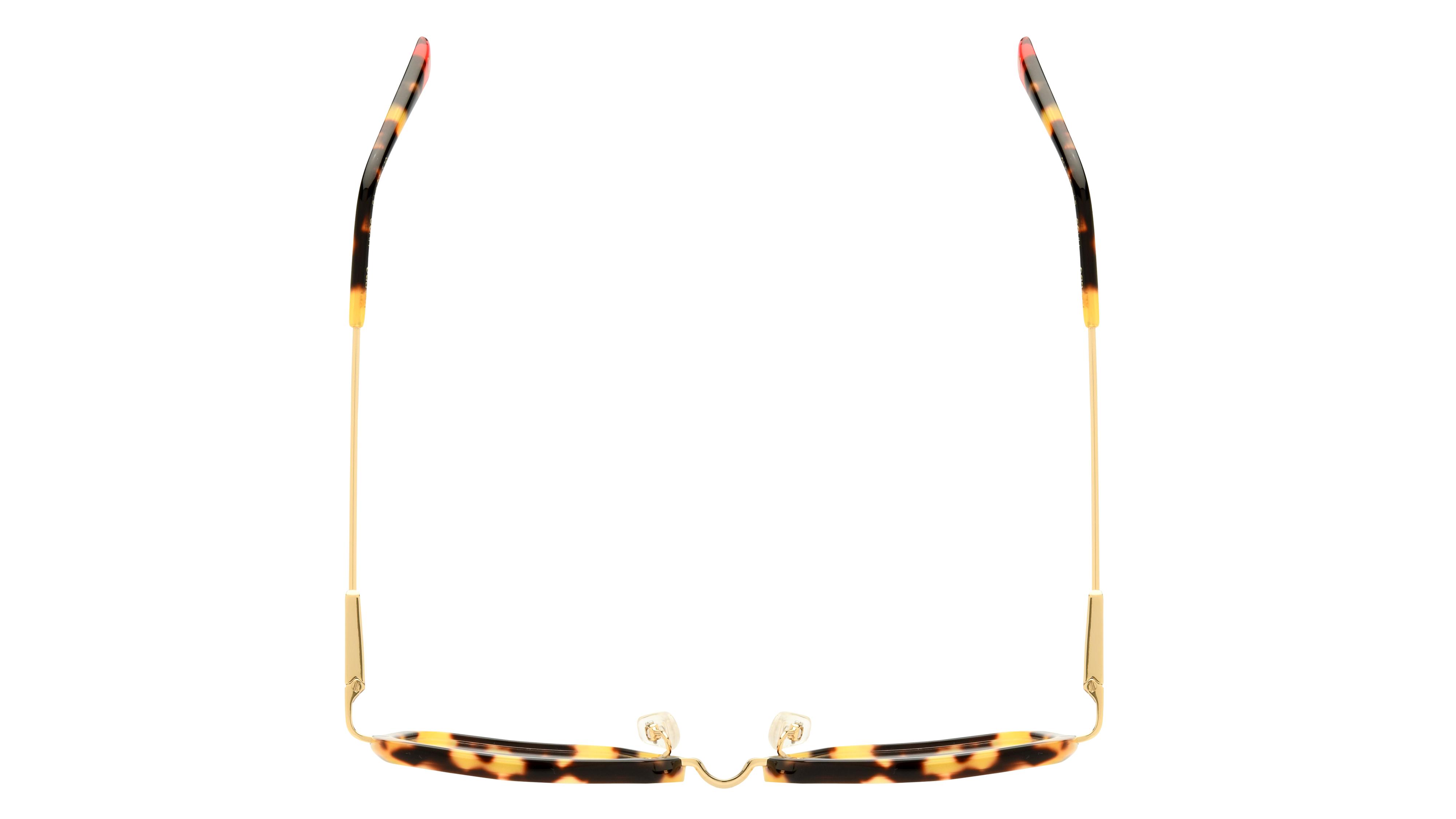 Lunettes de vue Etnia Barcelona Femme Écaille Carré Velero Dessus