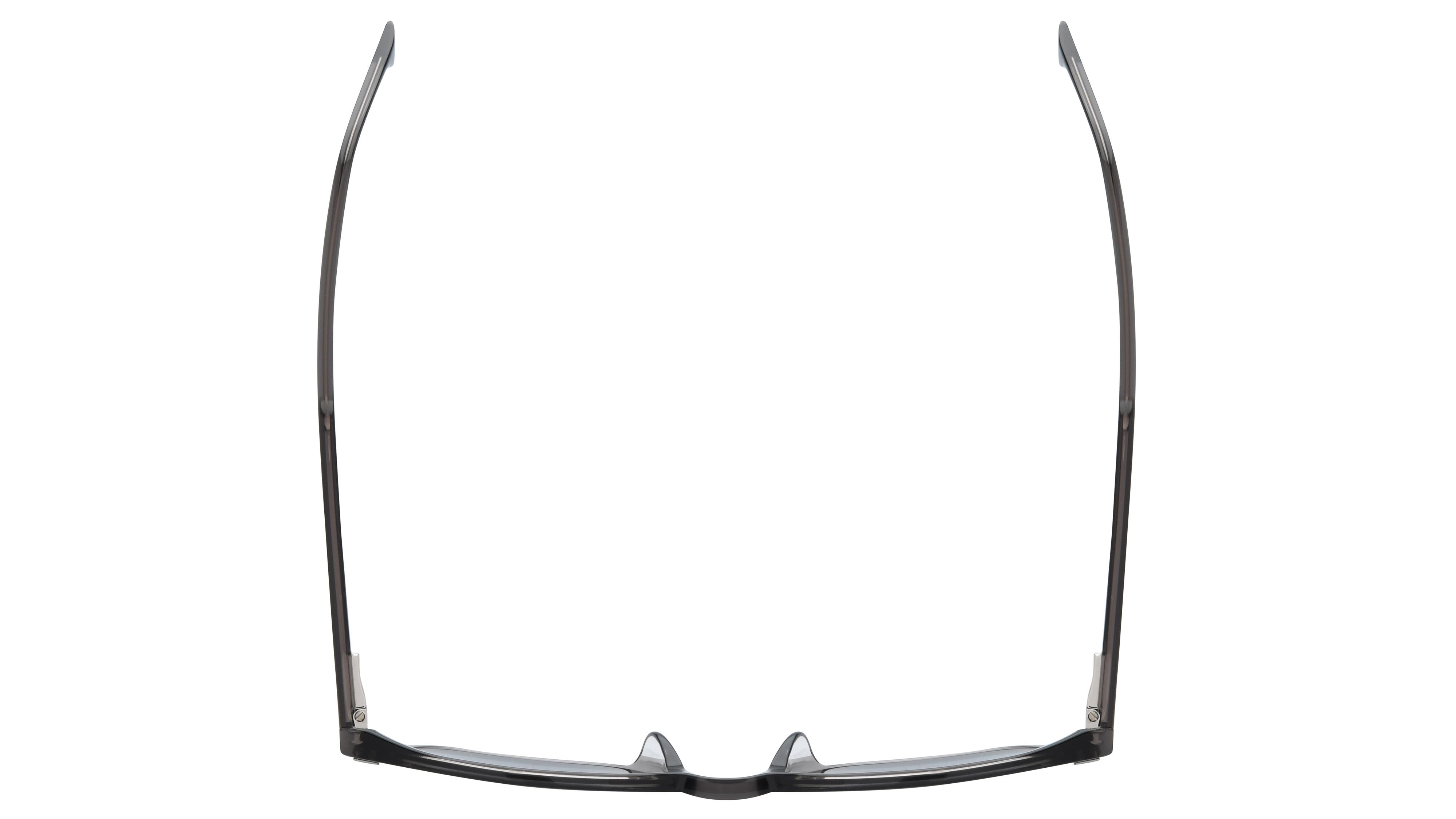 Lunettes de soleil Boss Homme Marron Pantos Boss Dessus