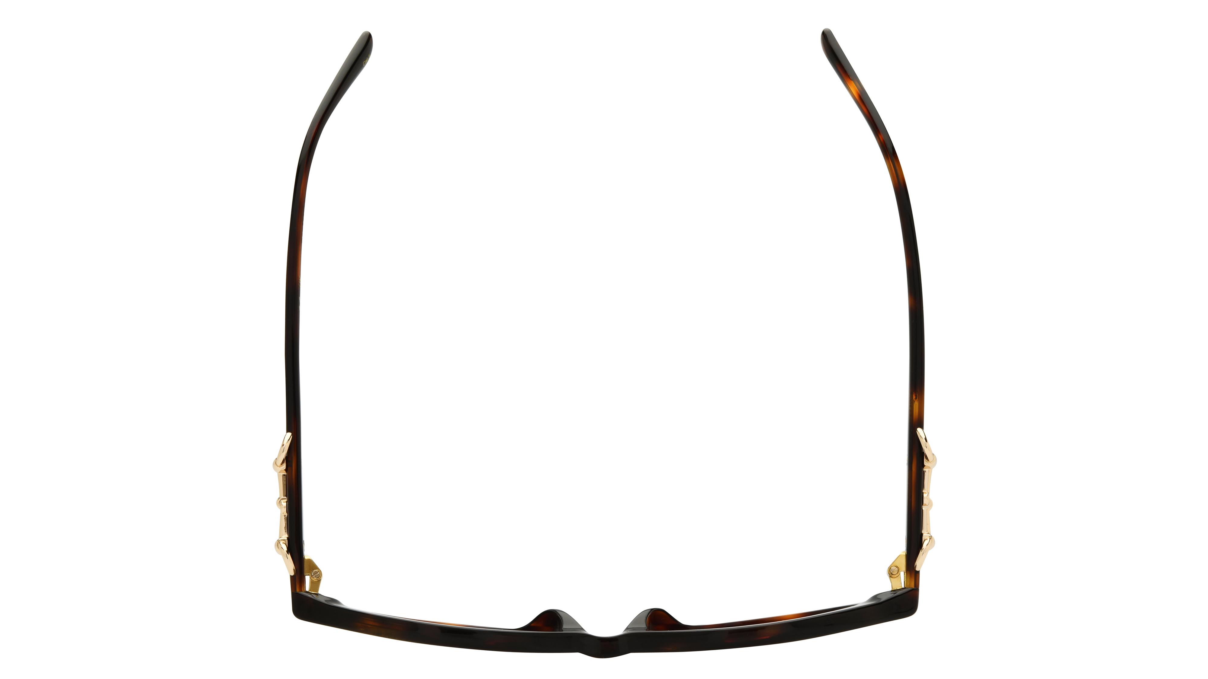 Lunettes de soleil Gucci Femme Écaille Ovale Gg2215S Dessus