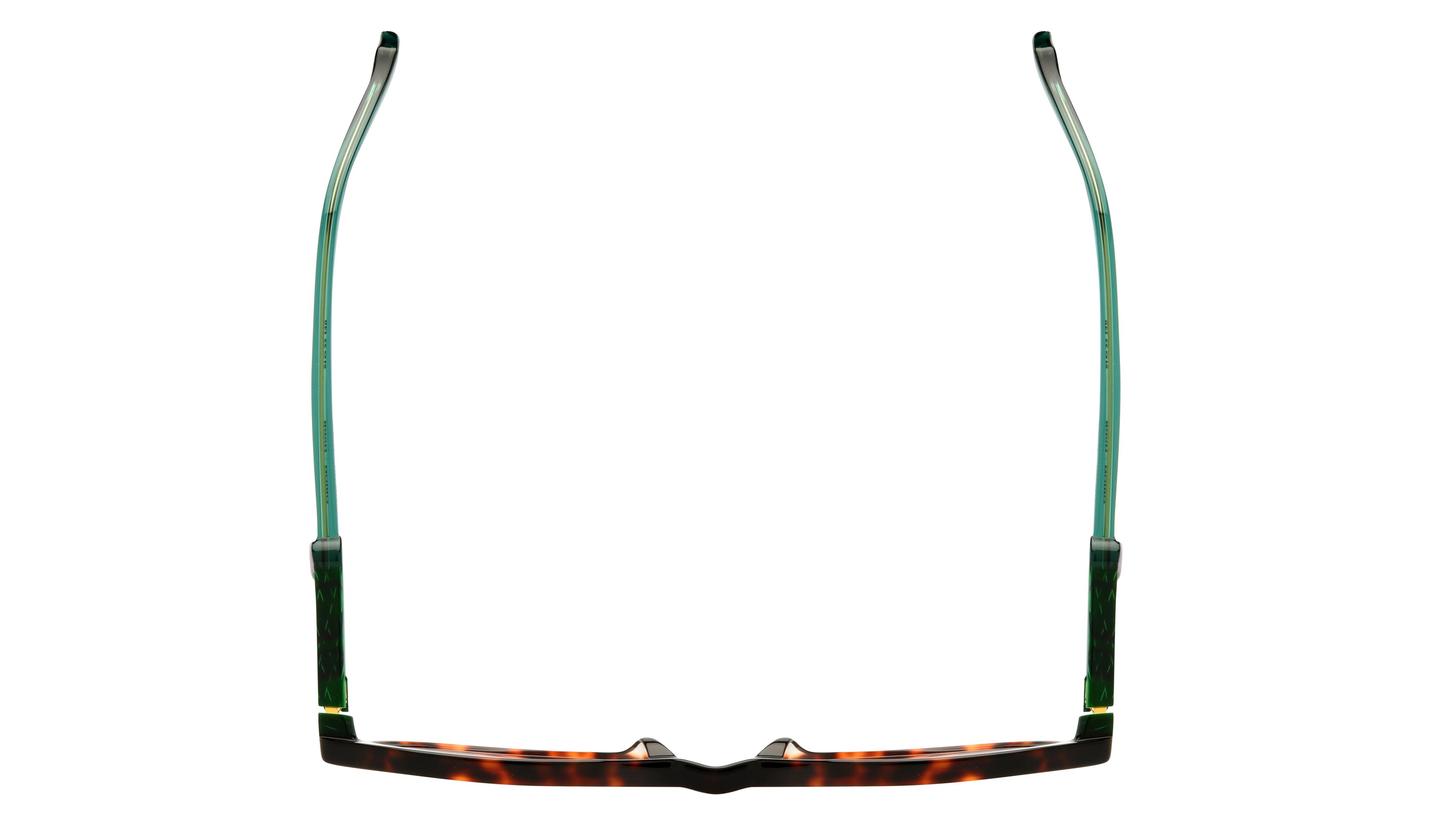 Lunettes de vue Etnia Barcelona Femme Écaille Ronde Orion51O Dessus