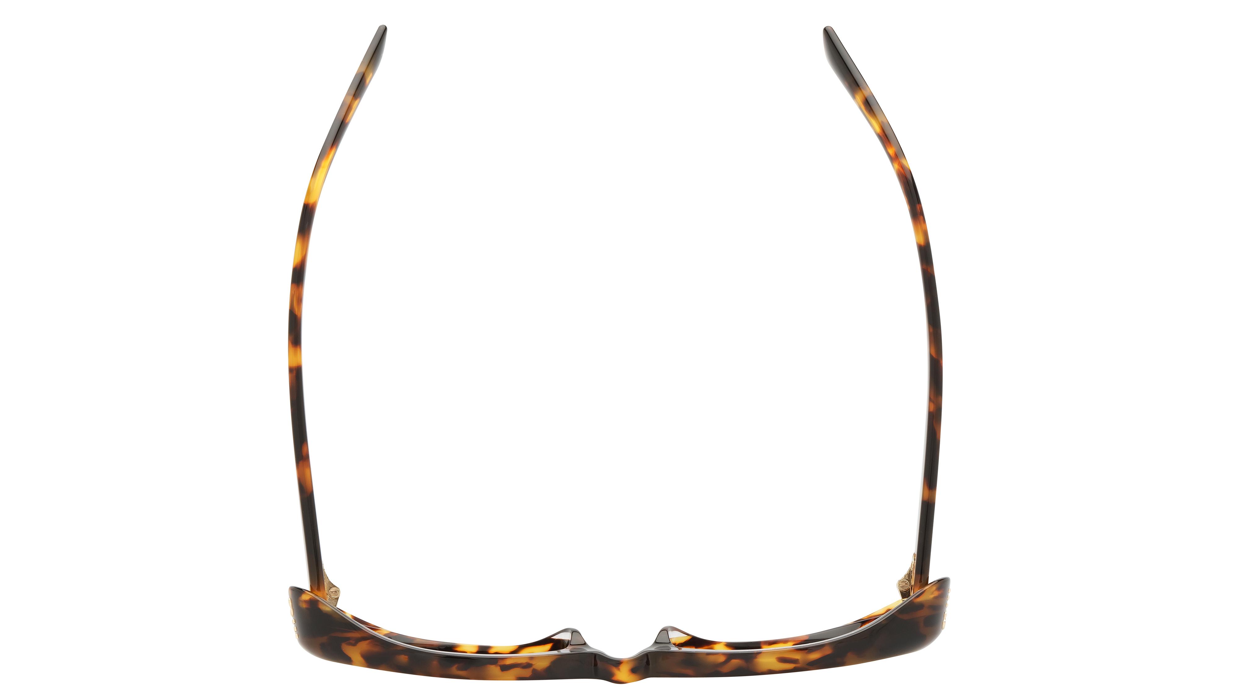 Lunettes de soleil Miu Miu Femme Écaille Ovale MU Dessus