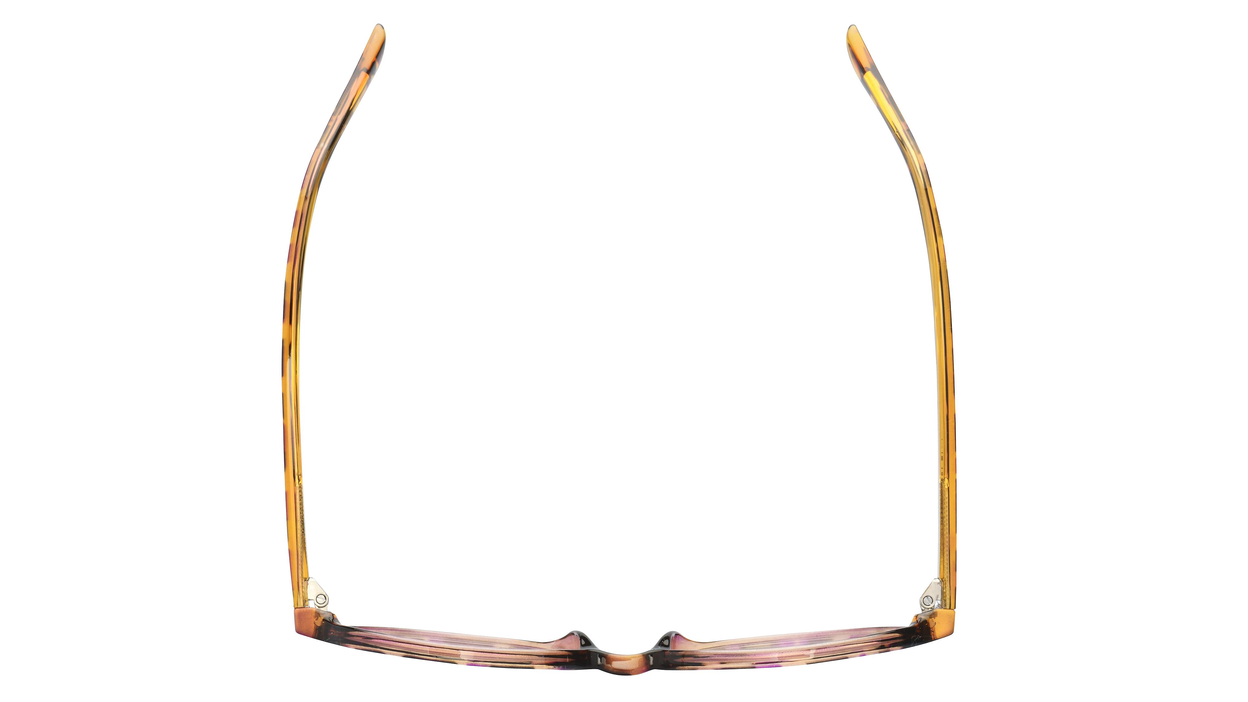Lunettes de vue Alternance Femme Écaille Ronde Alt22105 Dessus