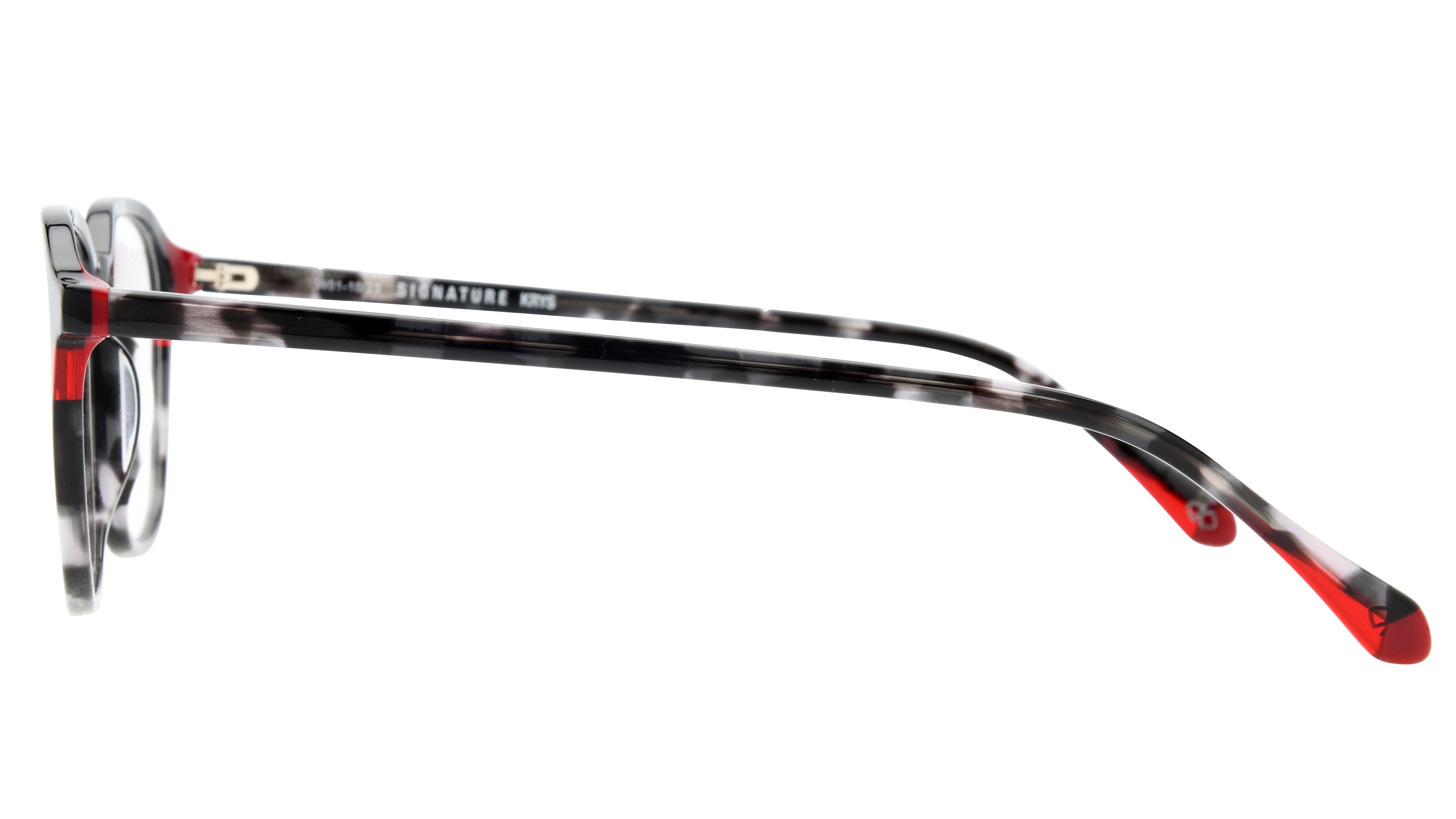 Lunettes de vue Signature Krys Homme Gris Carré Moj2401 Gauche