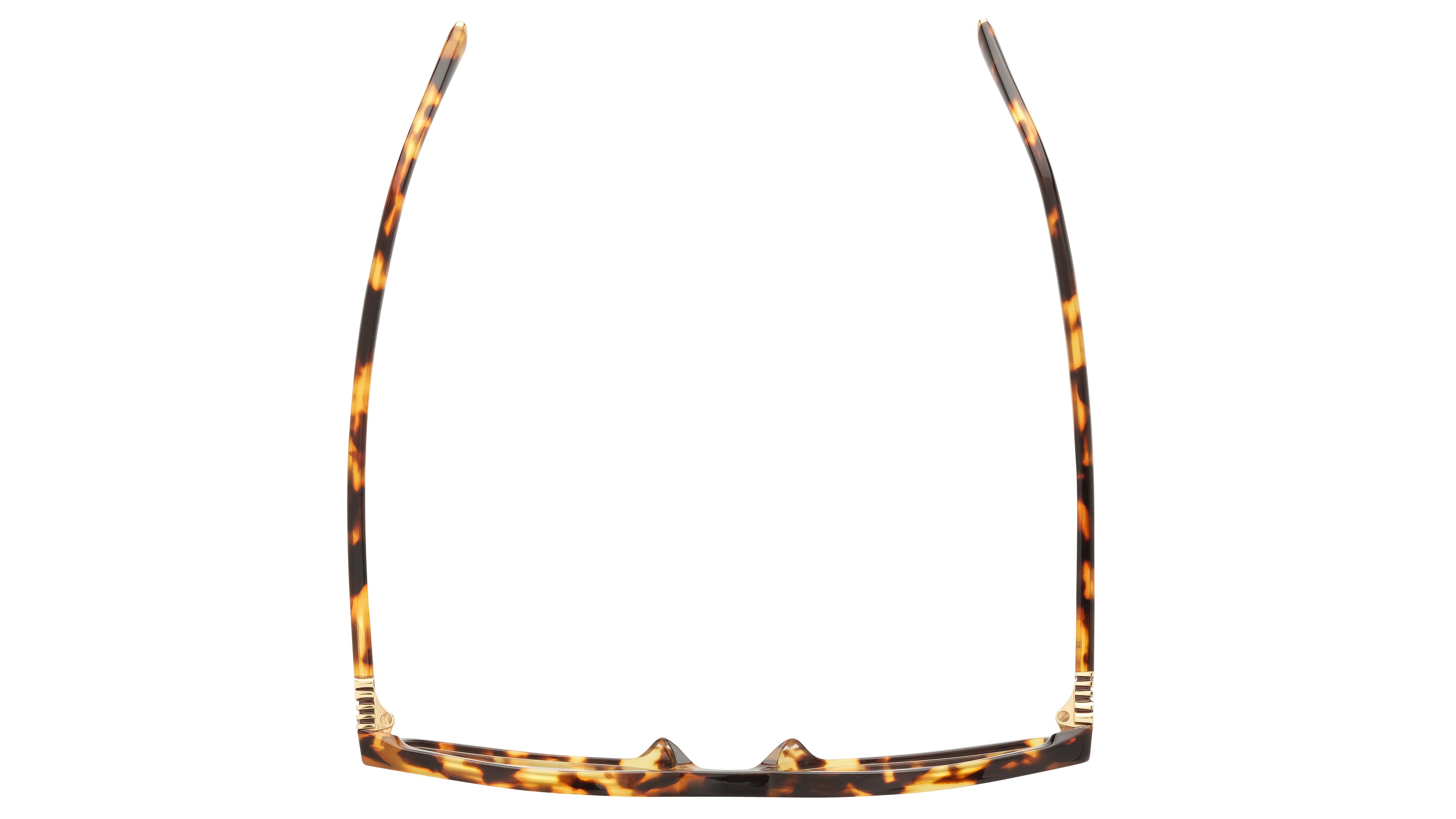 Lunettes de vue Miu Miu Femme Écaille Ovale MU Dessus