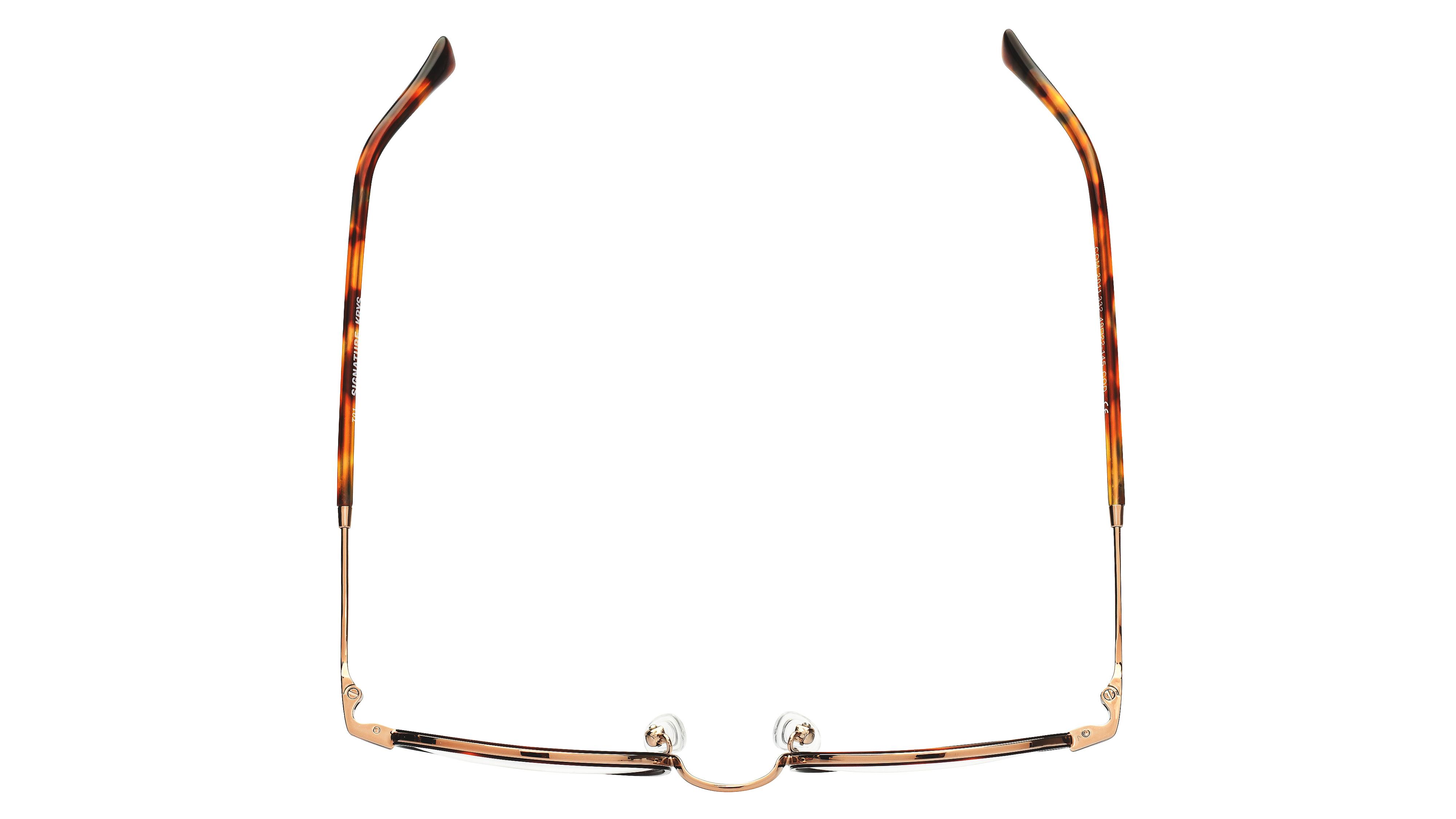 Lunettes de vue Signature Krys Homme Écaille Ronde Com2011 Dessus