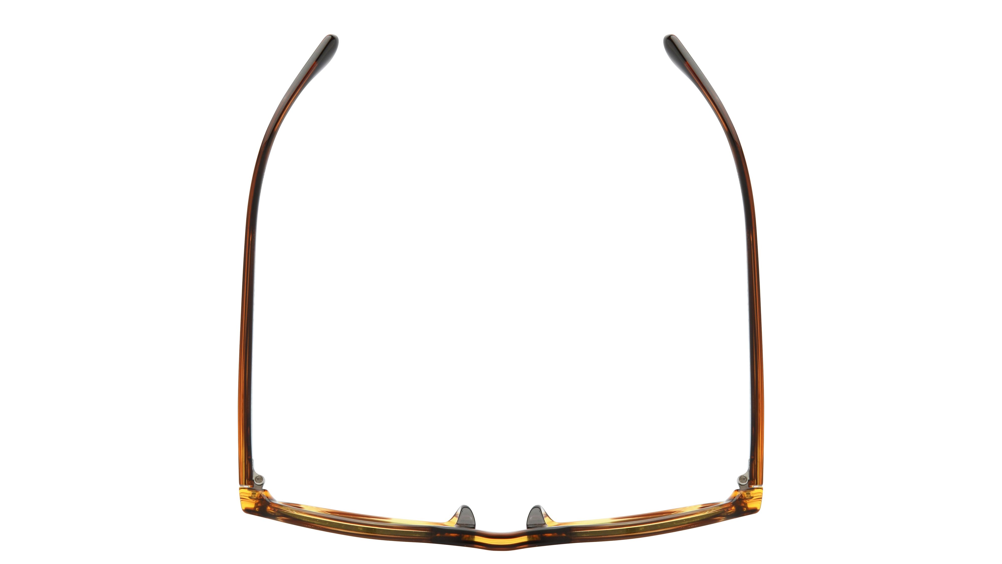 Lunettes de soleil Giorgio Armani Homme Écaille Ovale Ar8219U Dessus