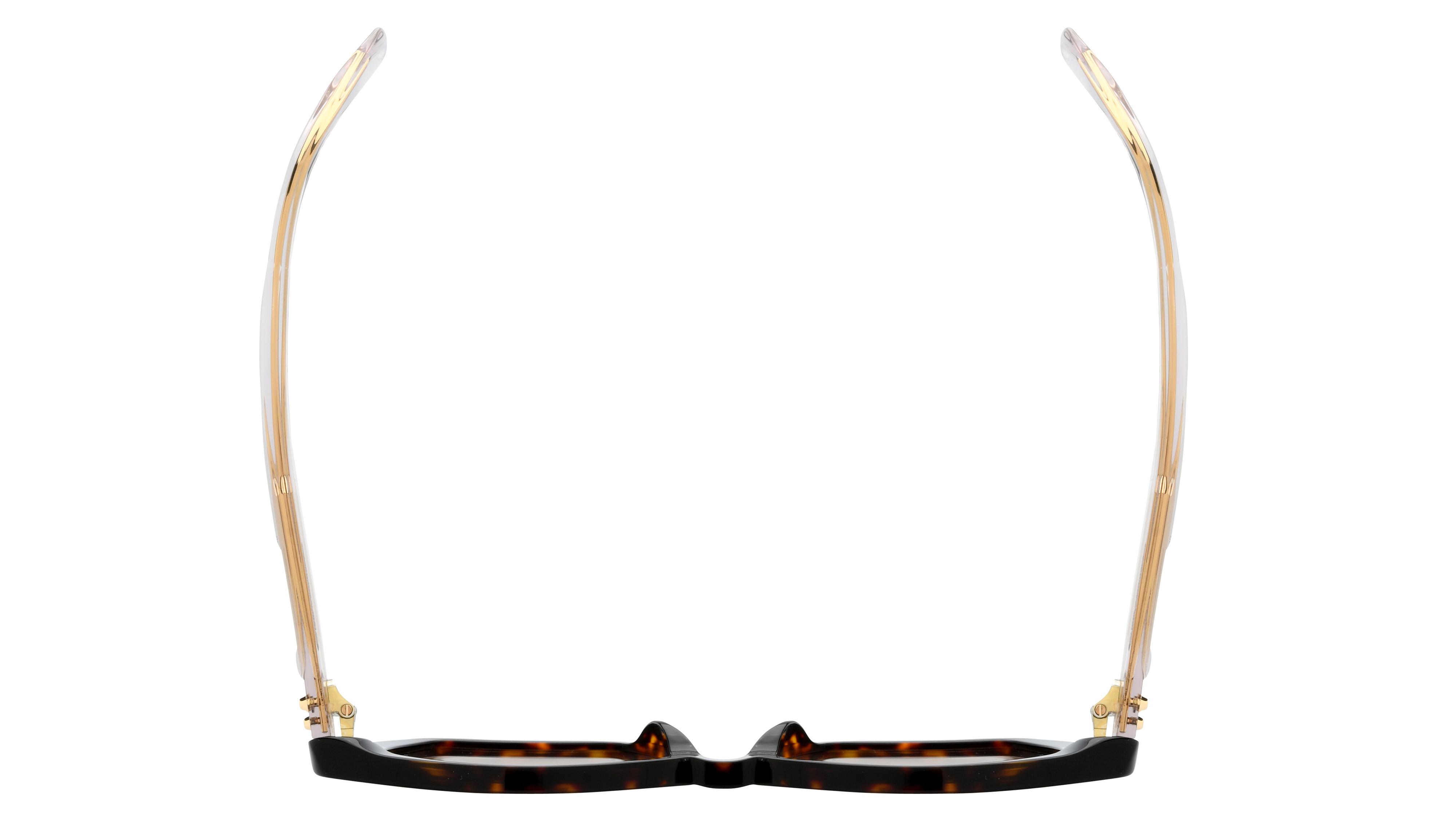 Lunettes de soleil Zadig & Voltaire Femme Écaille Papillon SZV472 Dessus