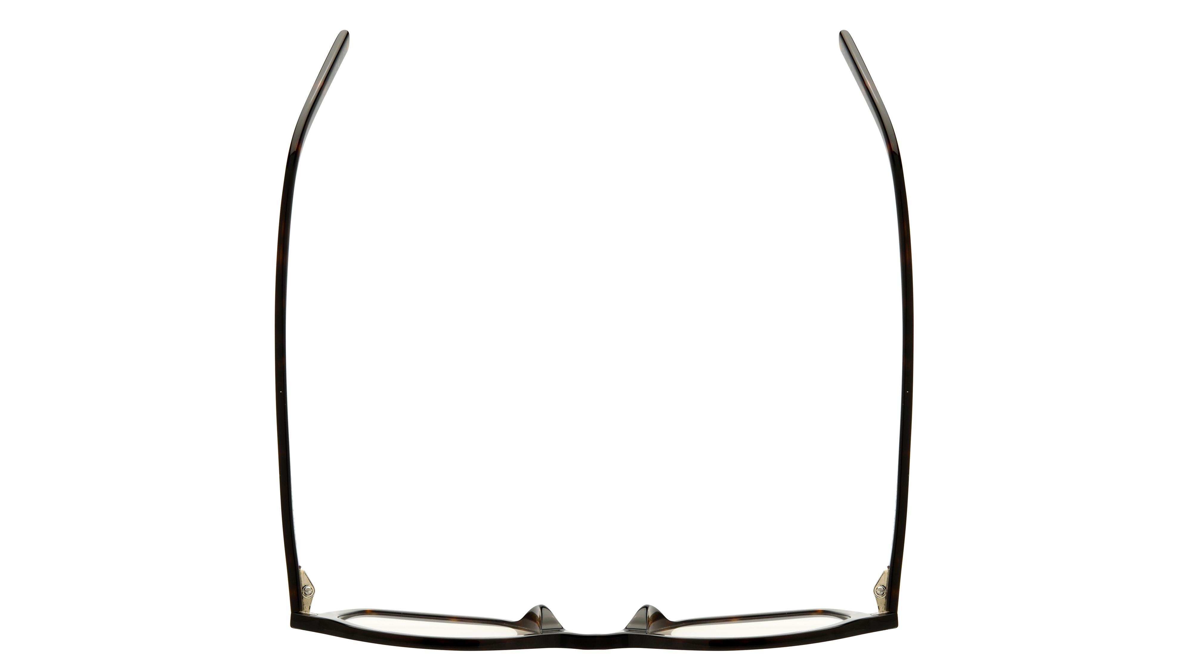 Lunettes de vue Saint Laurent Mixte Écaille Rectangle SL Dessus