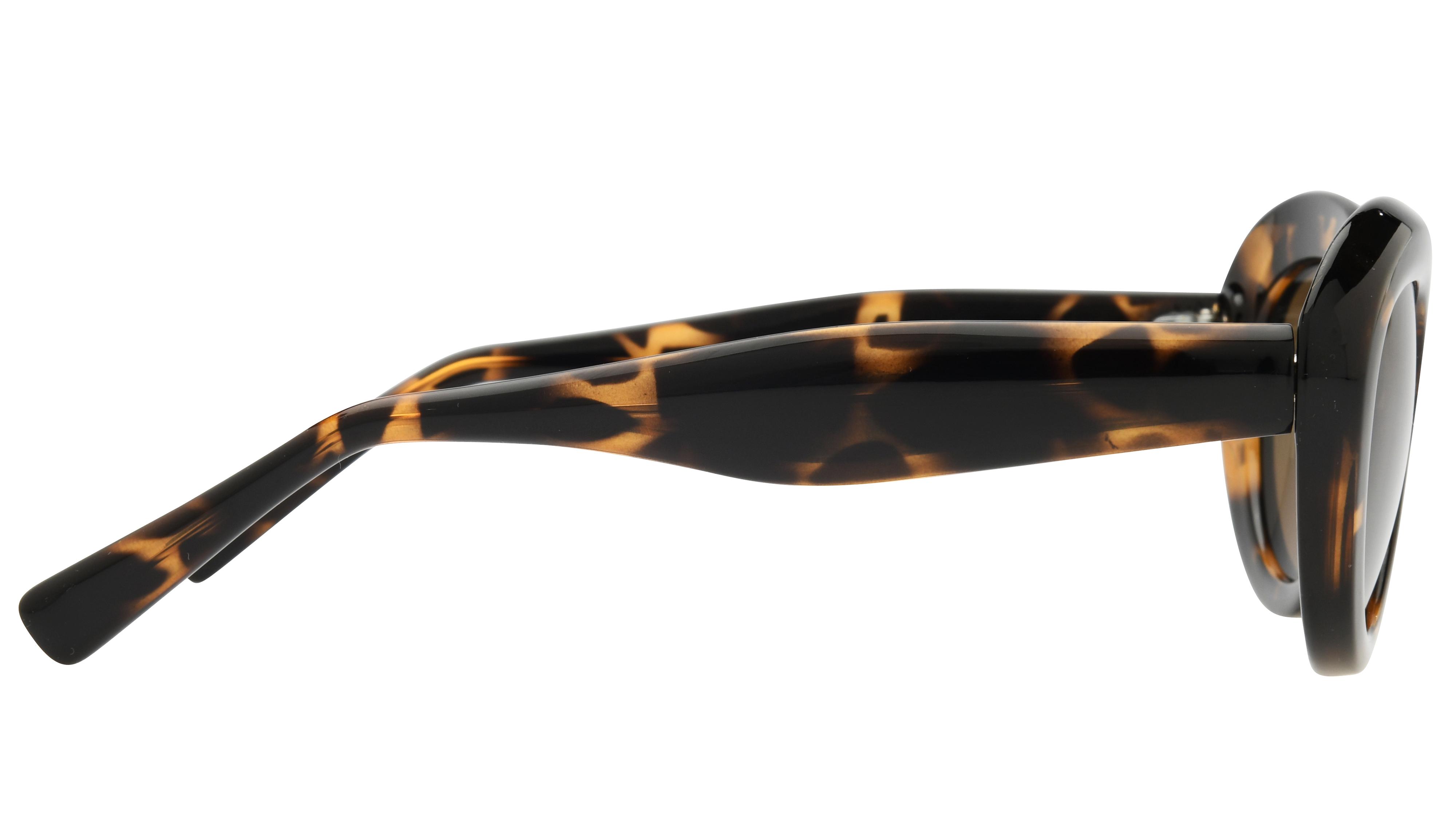 Lunettes de soleil Alternance Femme Écaille Ovale Alt25217 Droite