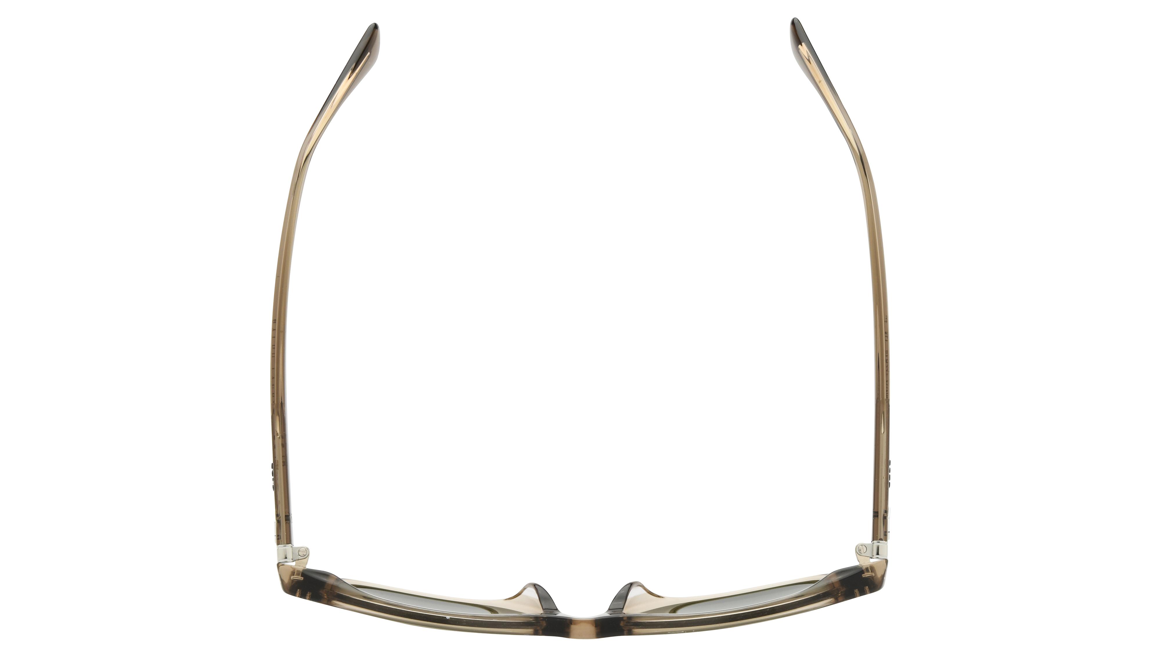 Lunettes de soleil Polo Ralph Lauren Homme Marron Carré PH4220U Dessus