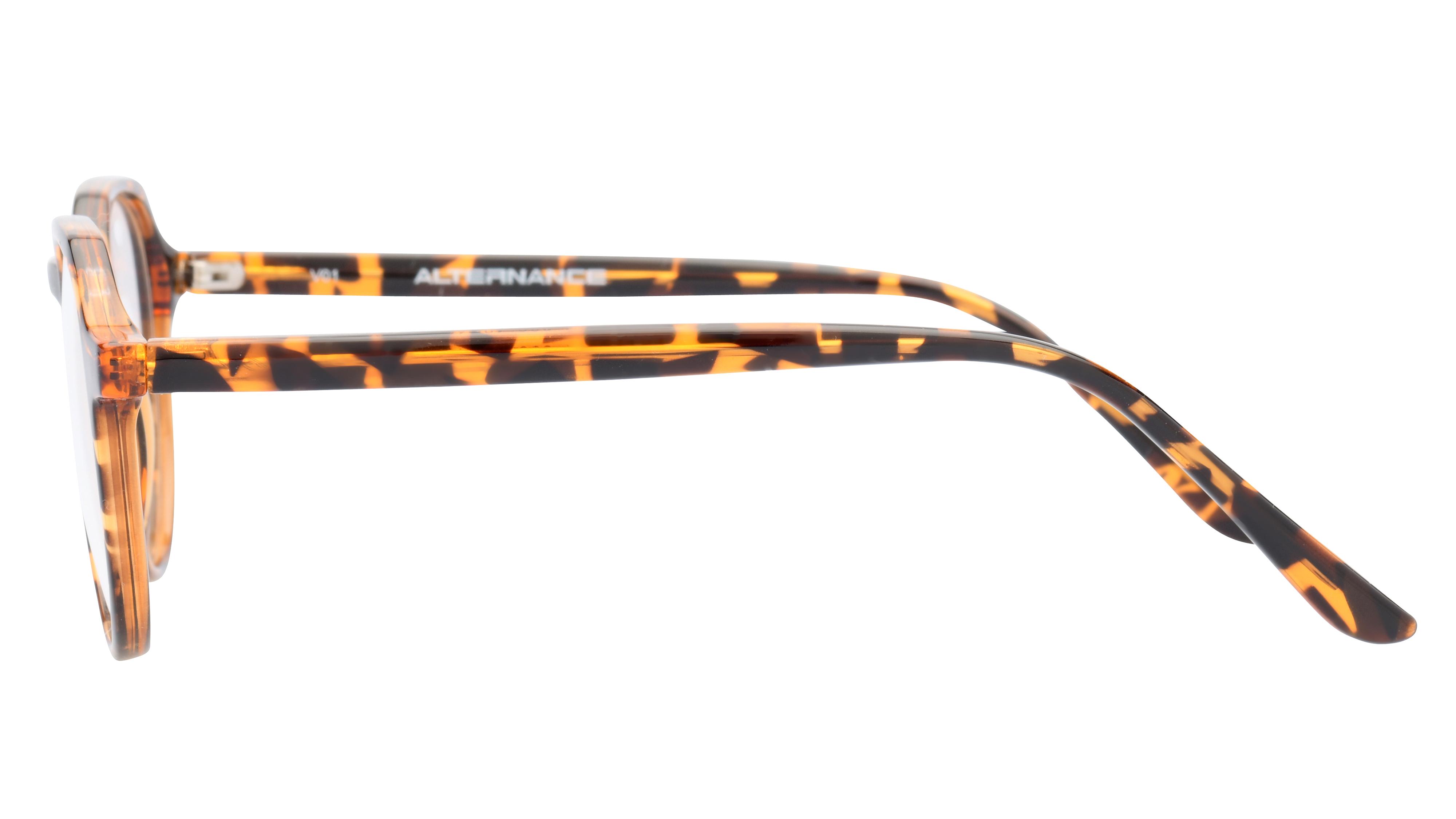 Lunettes de vue Alternance Mixte Écaille Pantos Alt22114 Gauche