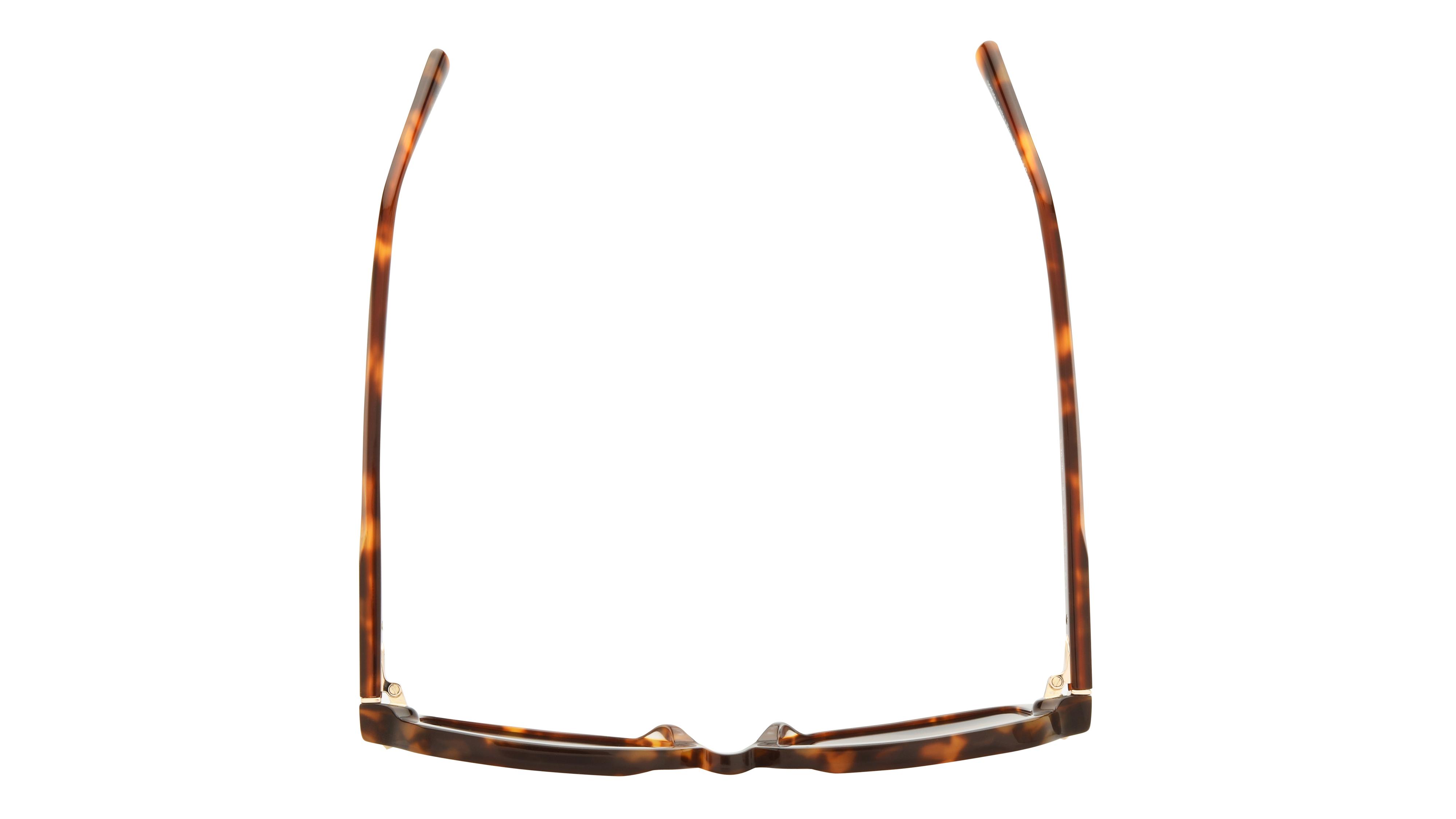 Lunettes de soleil Sandro Femme Écaille Carré SD6100 Dessus