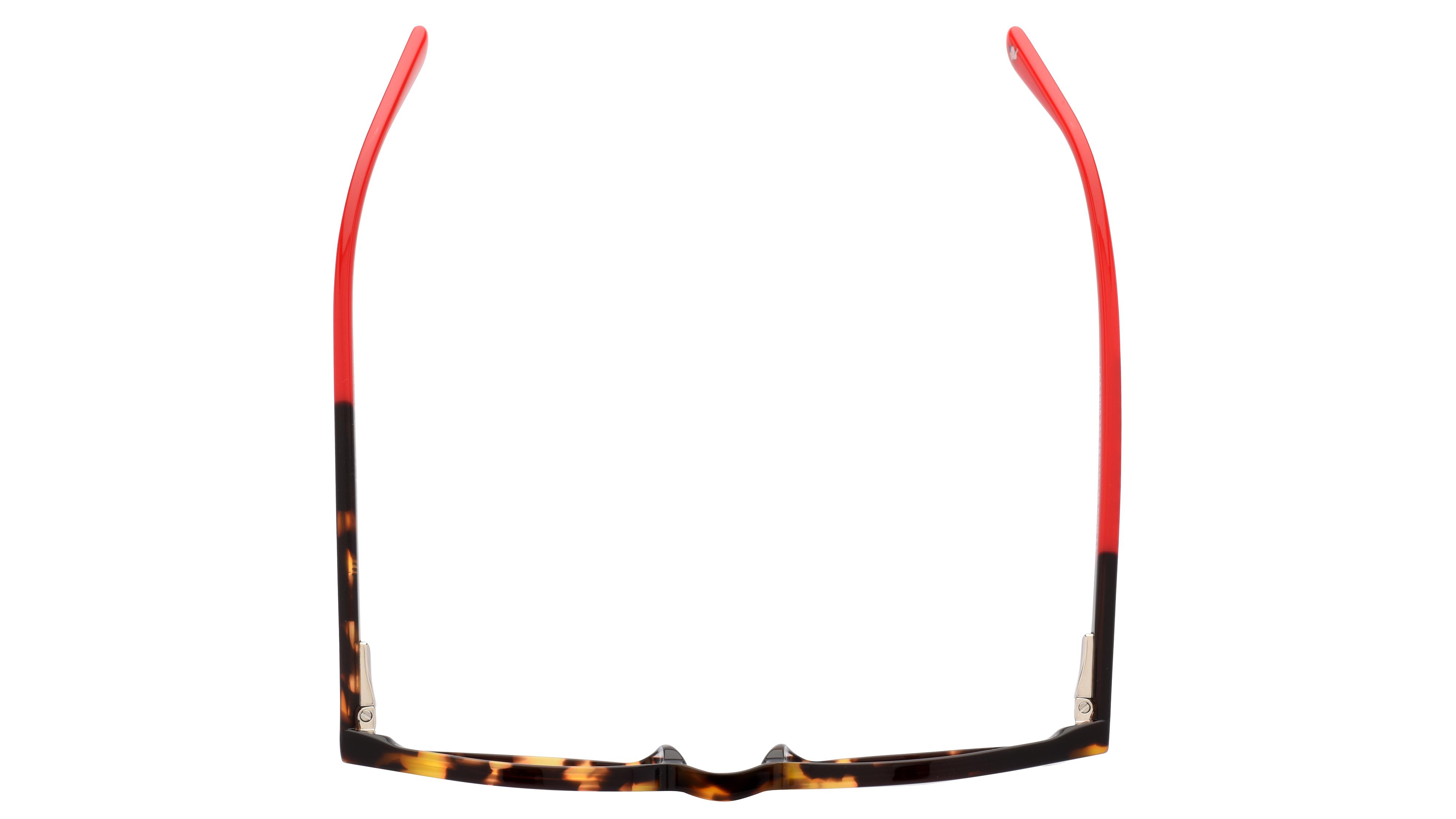 Lunettes de vue Le Coq Sportif Homme Écaille Pantos Lcs2205 Dessus