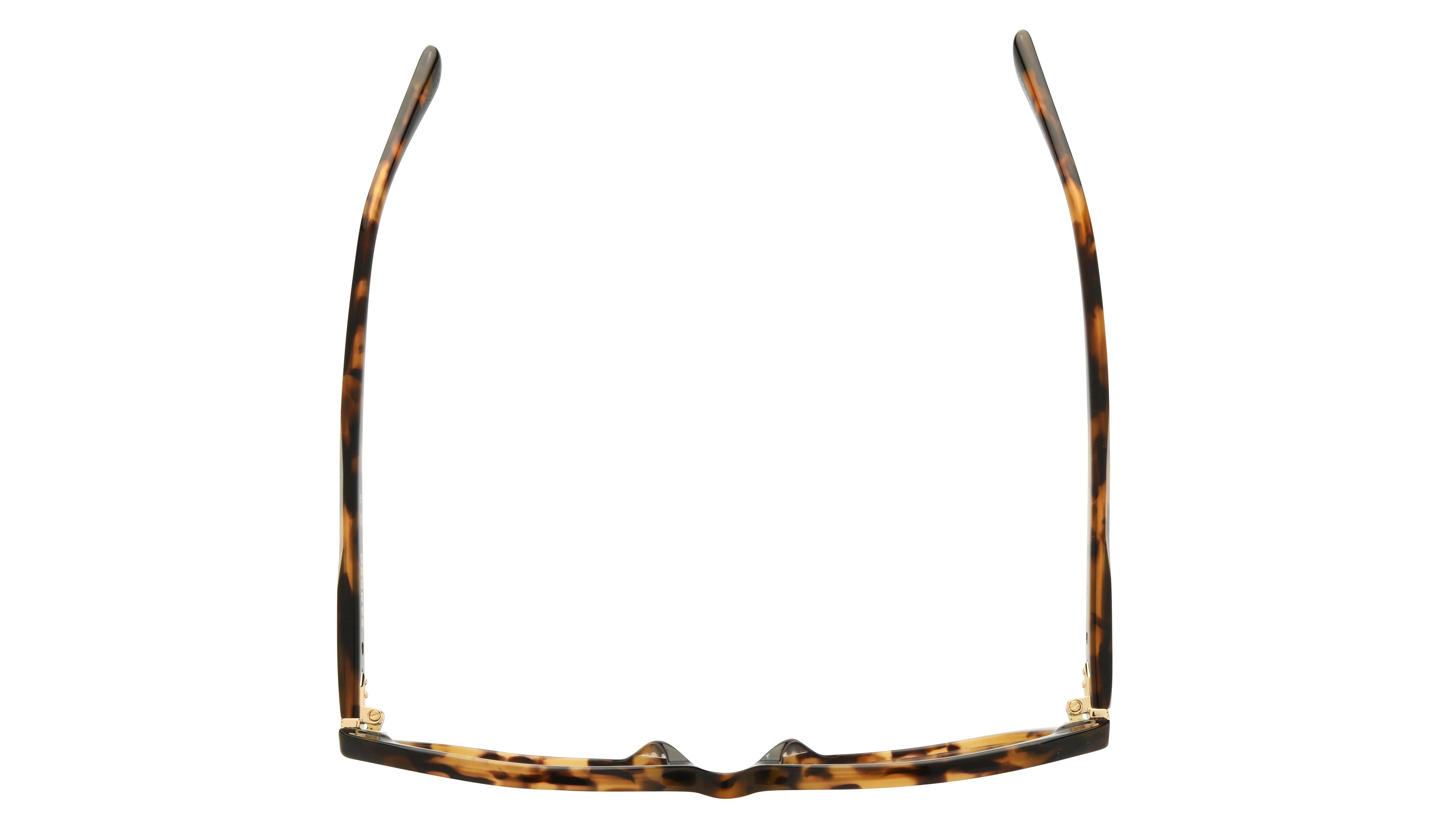 Lunettes de vue Sandro Femme Écaille Rectangle SD2066 Dessus