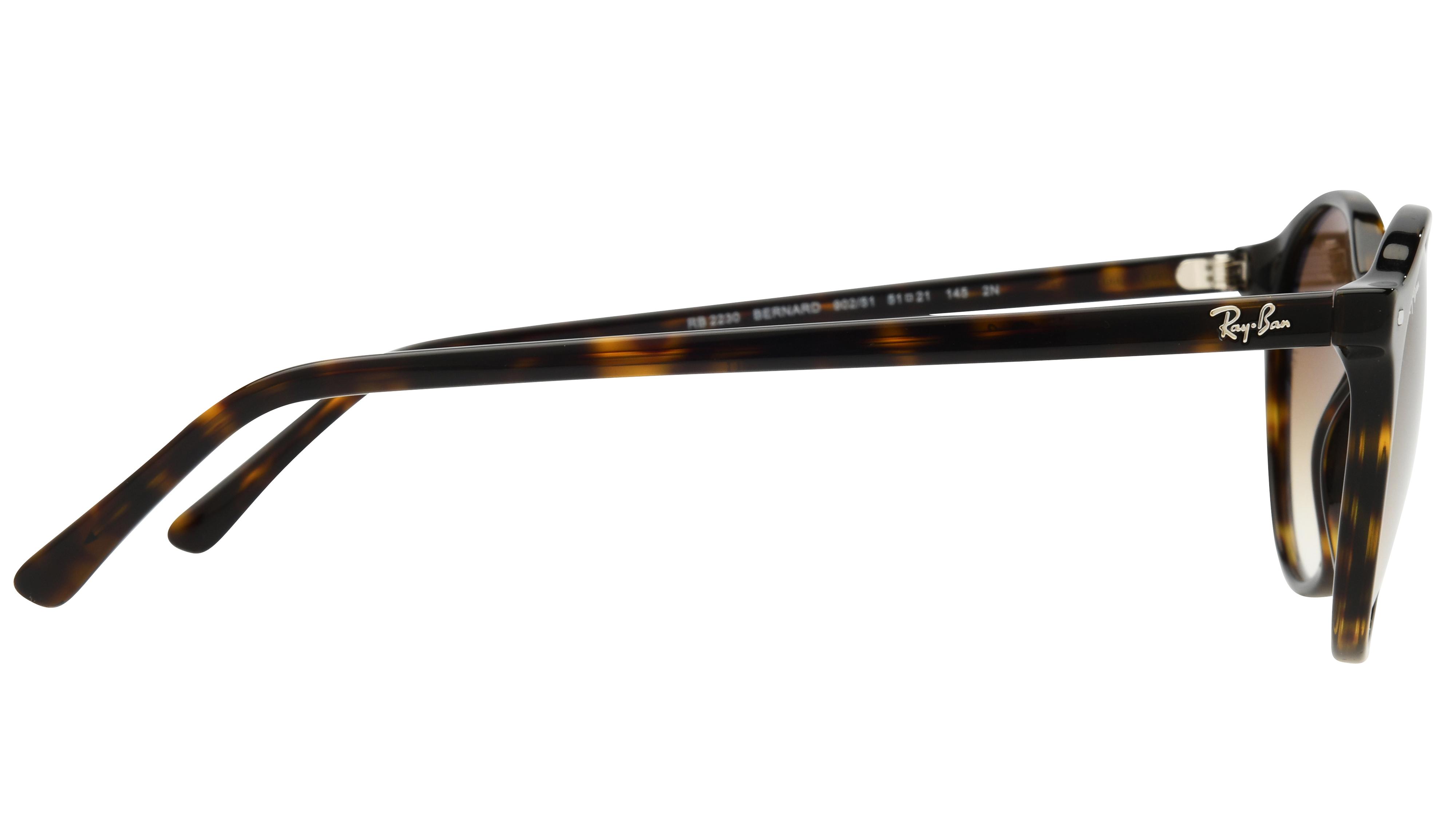 Lunettes de soleil Ray-Ban Mixte Marron Pantos RB2230 Droite
