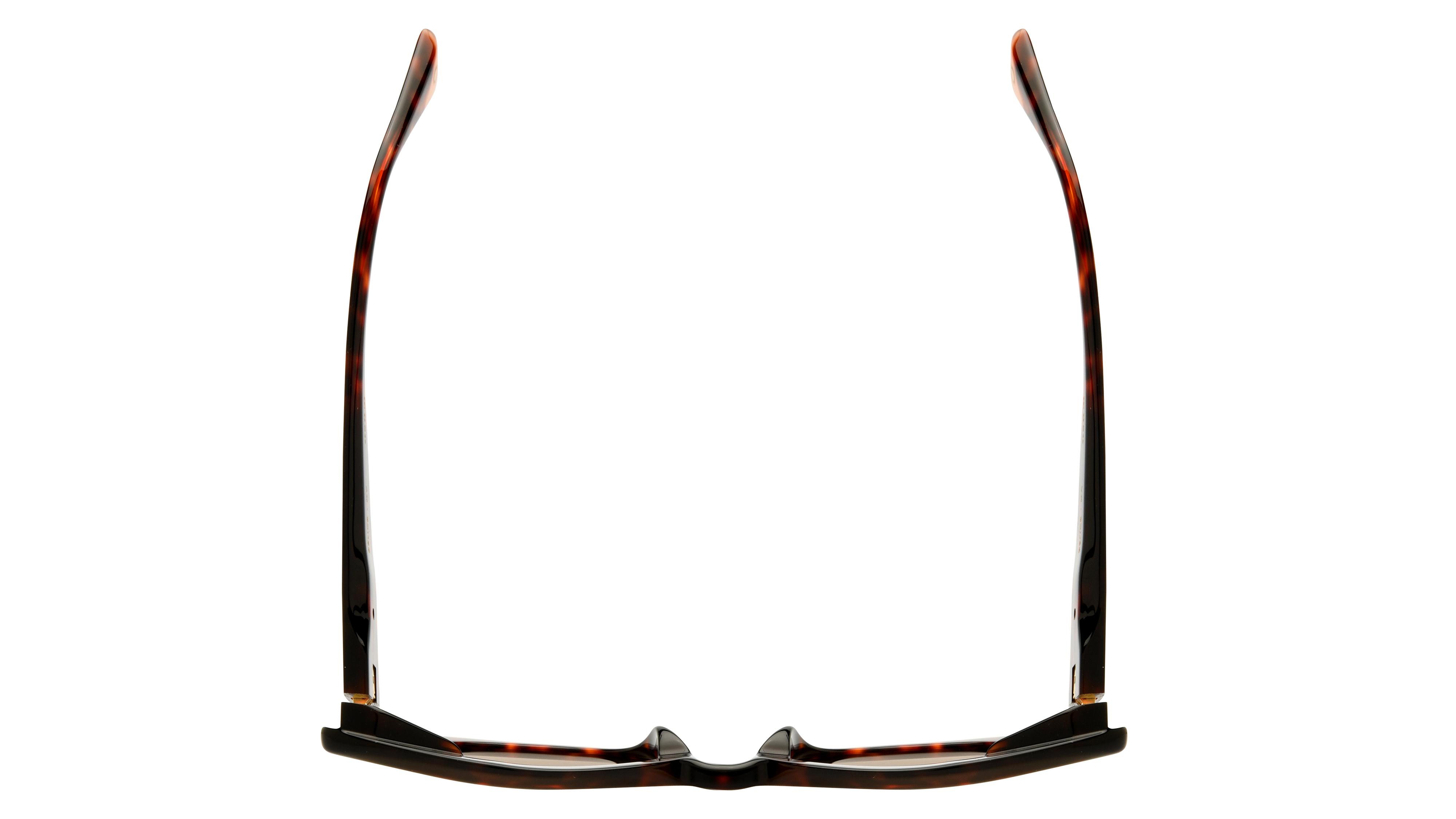 Lunettes de soleil Etnia Barcelona Femme Écaille Papillon Belice Dessus