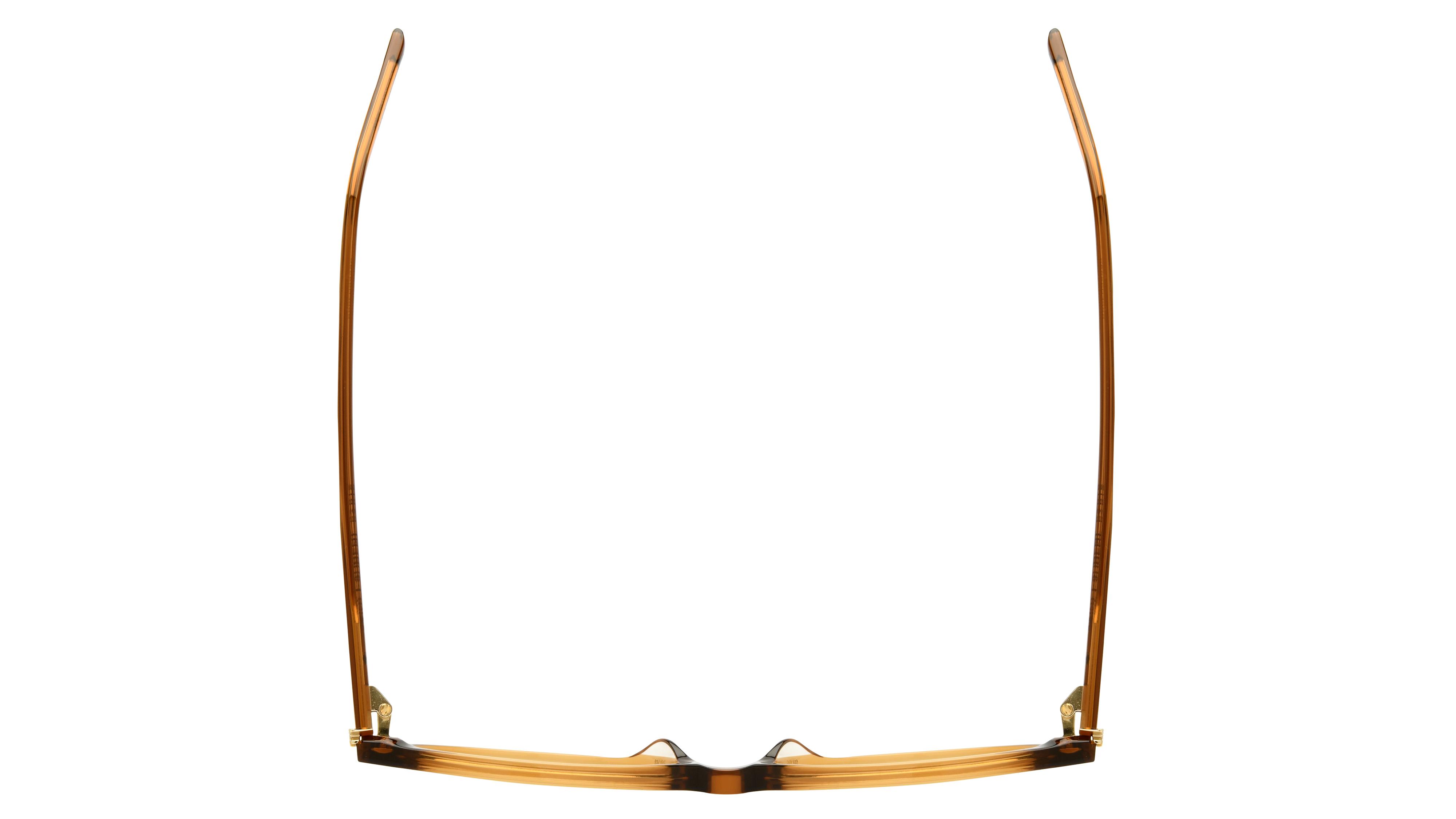 Lunettes de vue Saint Laurent Femme Marron Pantos Sl Dessus