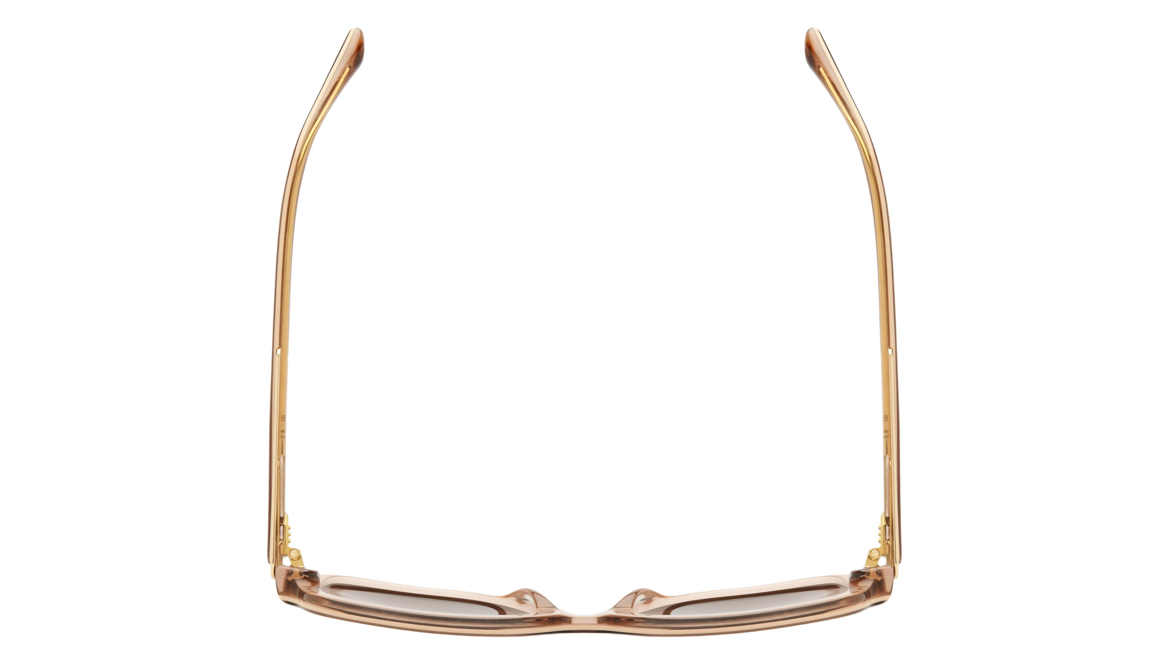 Lunettes de soleil Sandro Femme Marron Rectangle Sd6074 Dessus