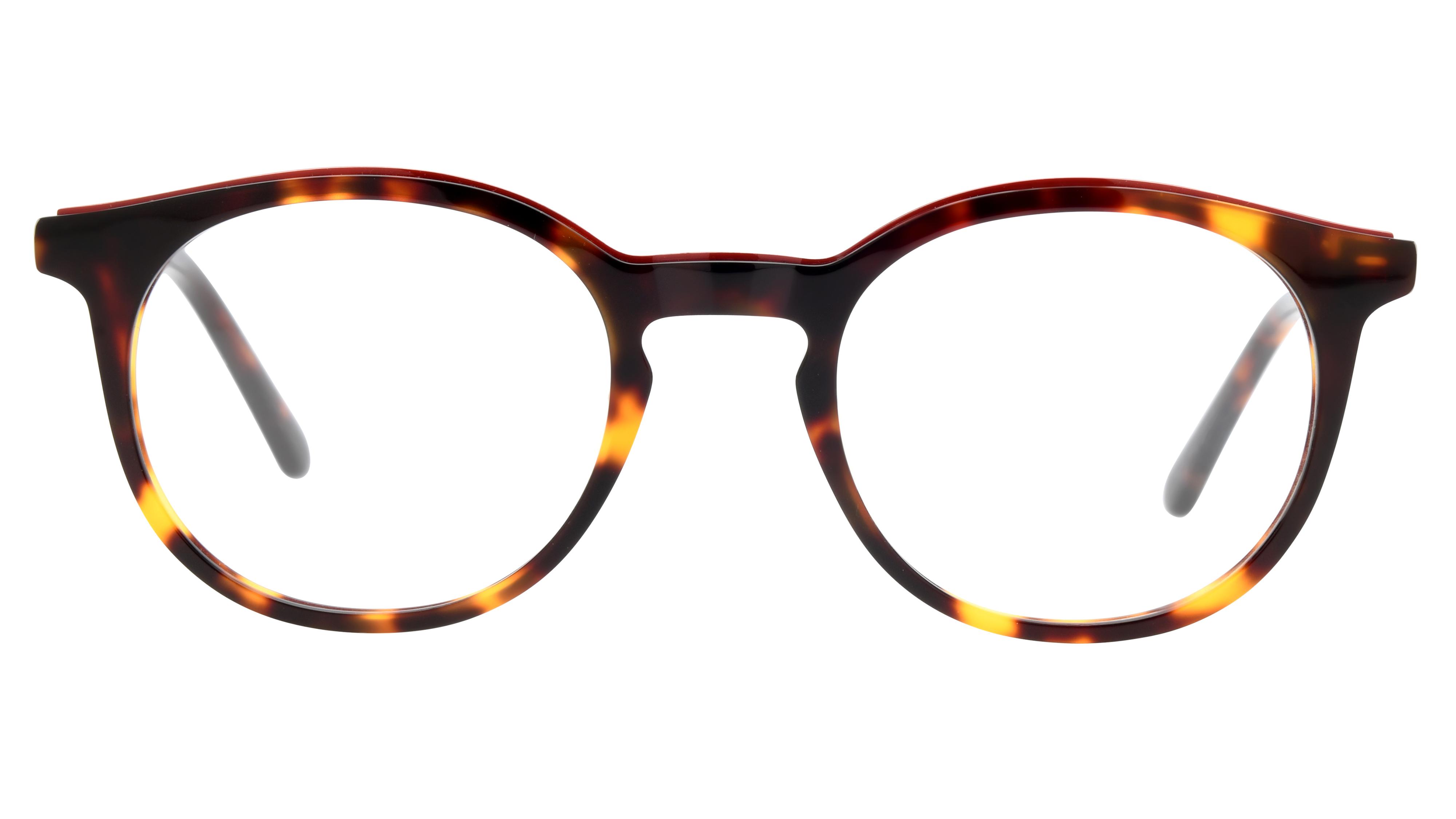 Lunettes de vue Signature Krys Homme Écaille Pantos Moj2403 Face