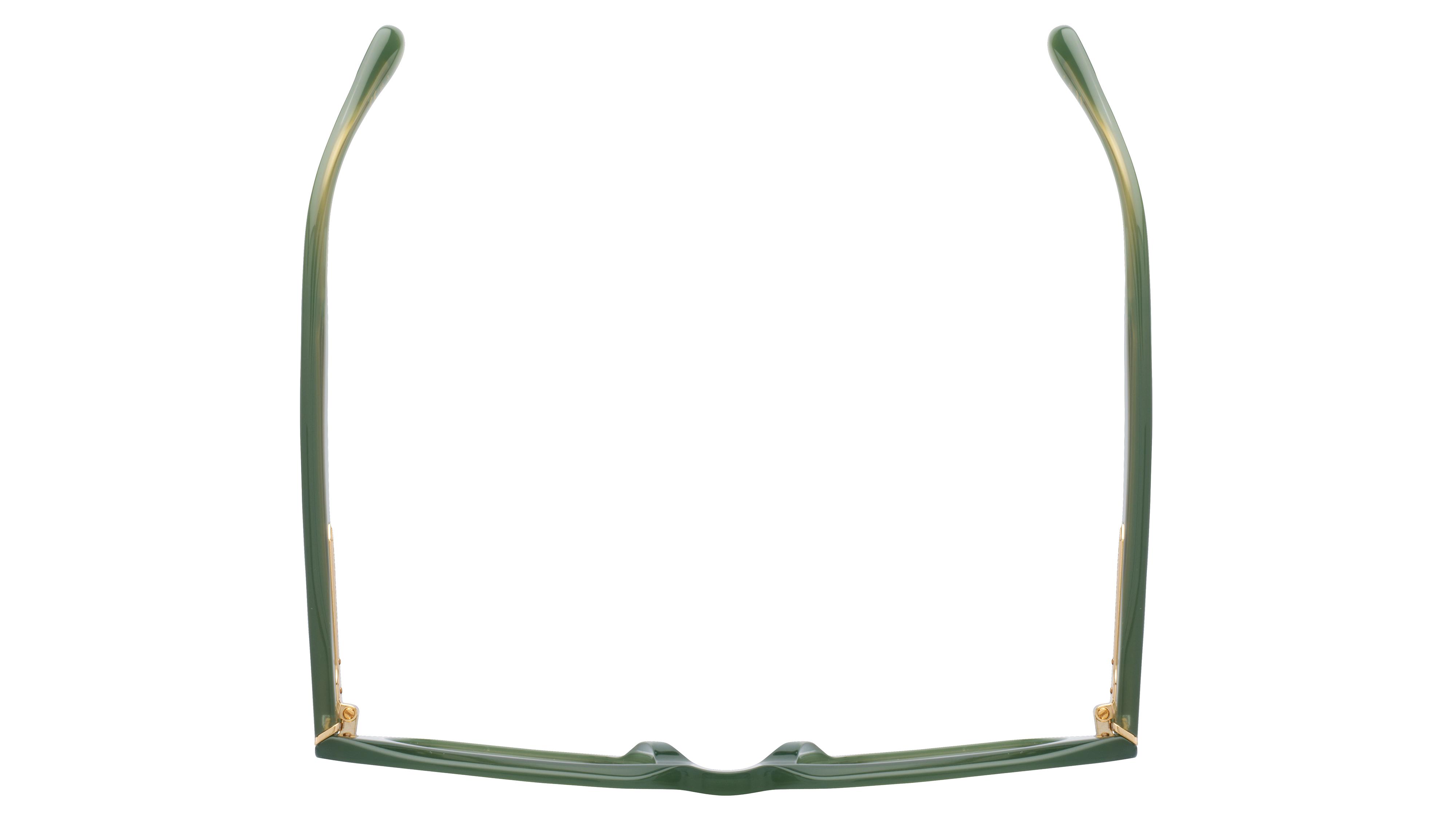 Lunettes de soleil Isabel Marant Femme Vert Papillon Im0104/S Dessus