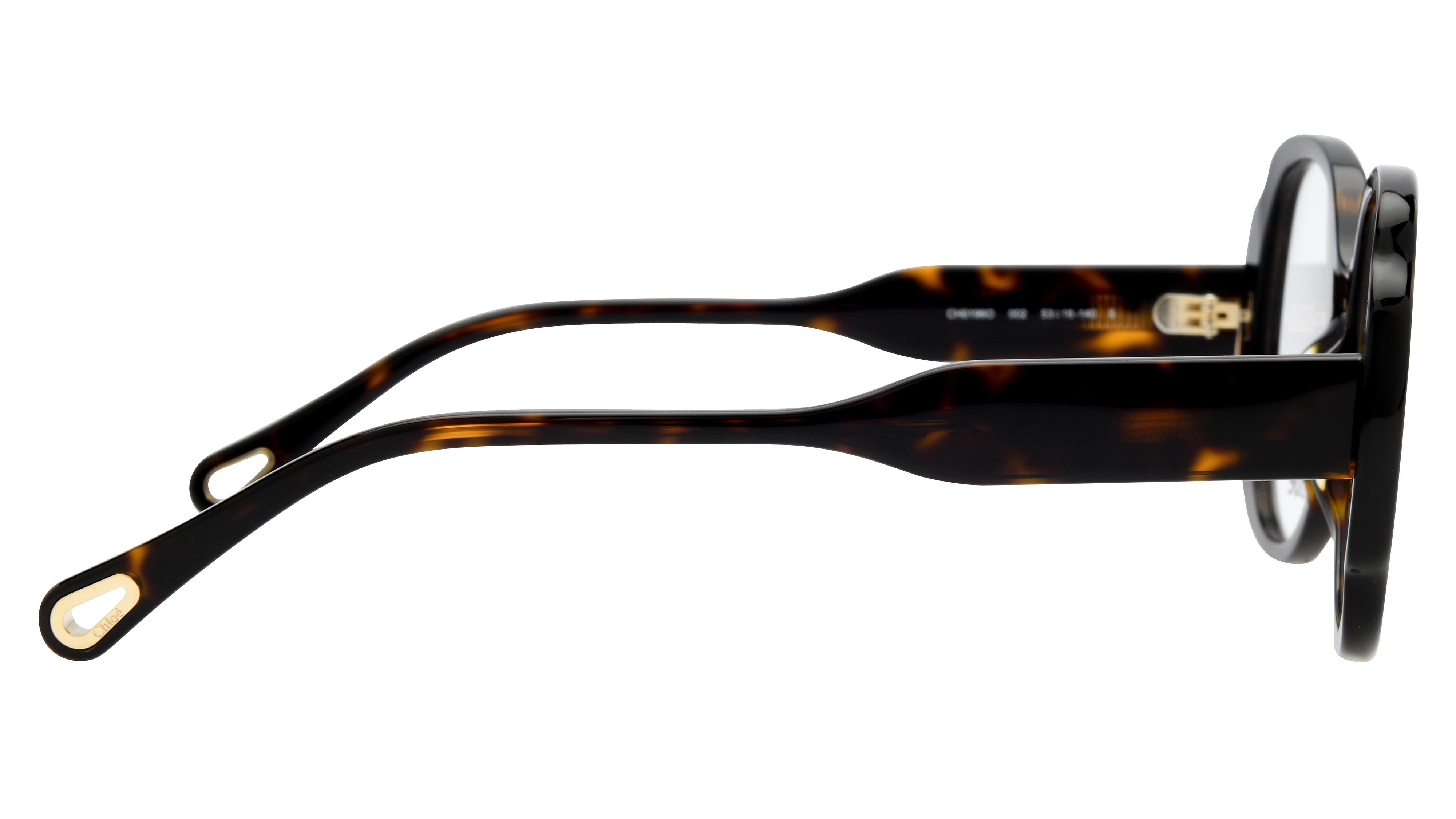 Lunettes de vue Chloé Femme Écaille Ronde Ch0196O Droite