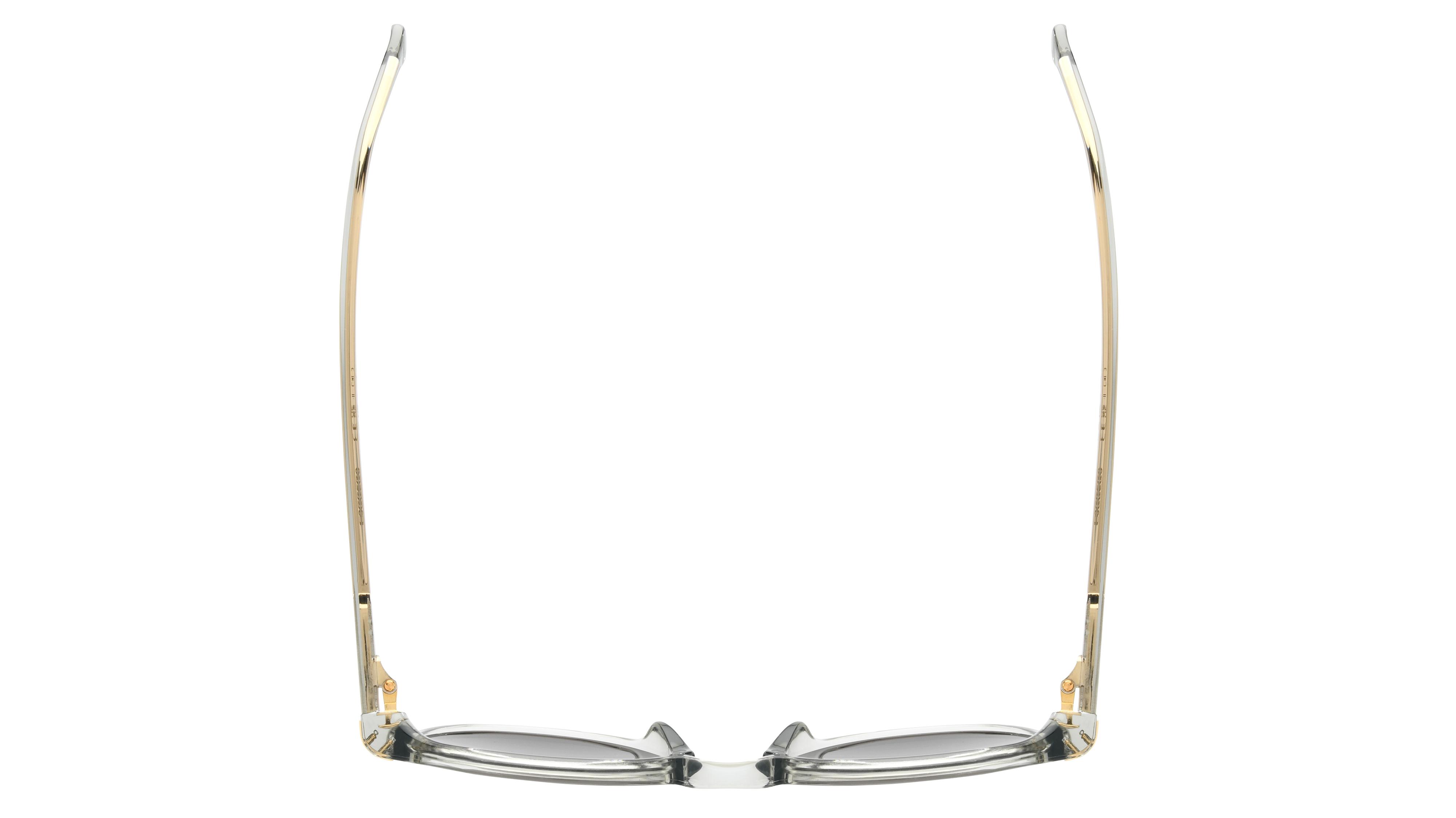 Lunettes de soleil Carrera Mixte Gris Pantos Carrera314/S Dessus