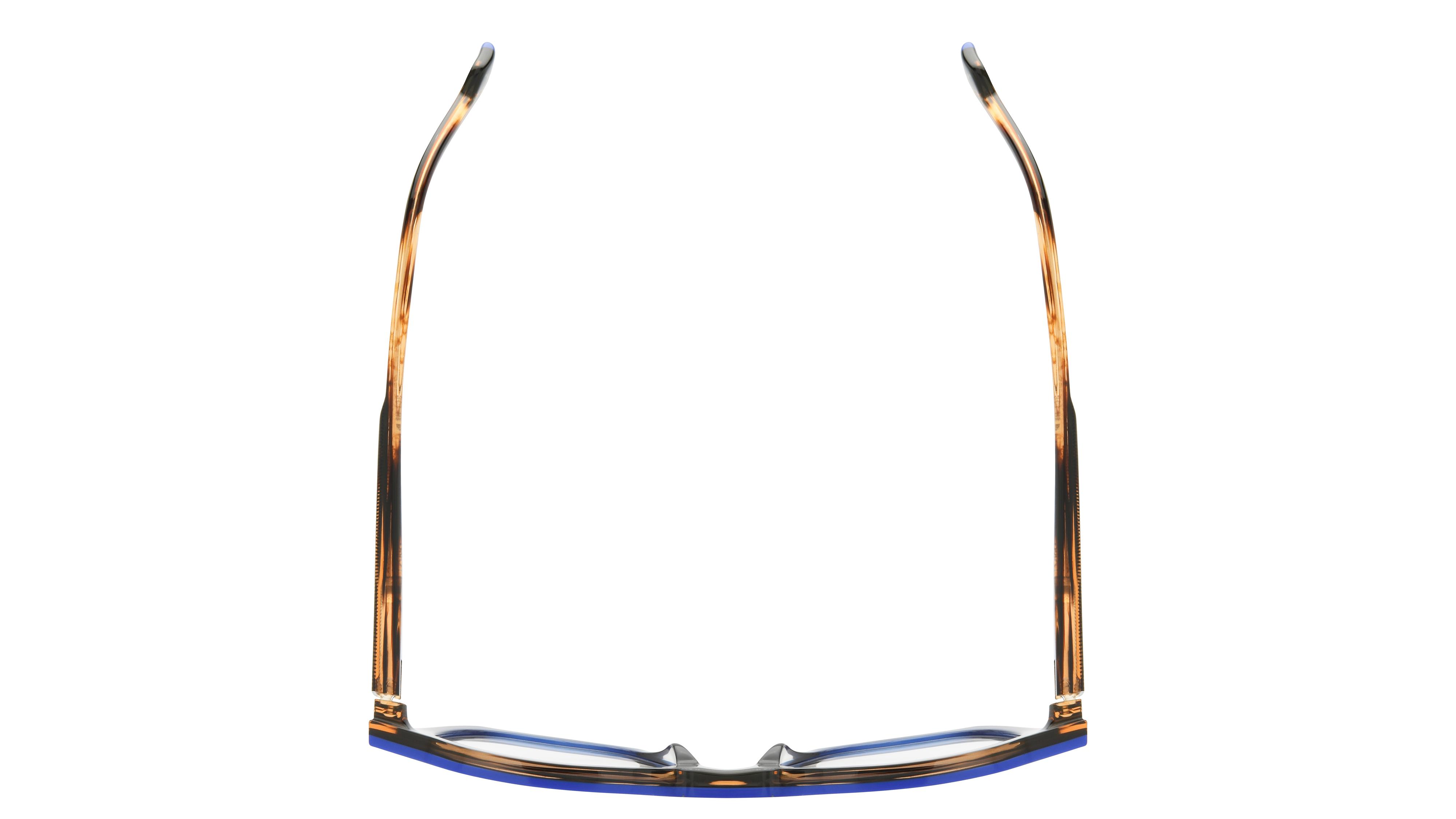 Lunettes de vue Etnia Barcelona Homme Bleu Pantos LONG Dessus