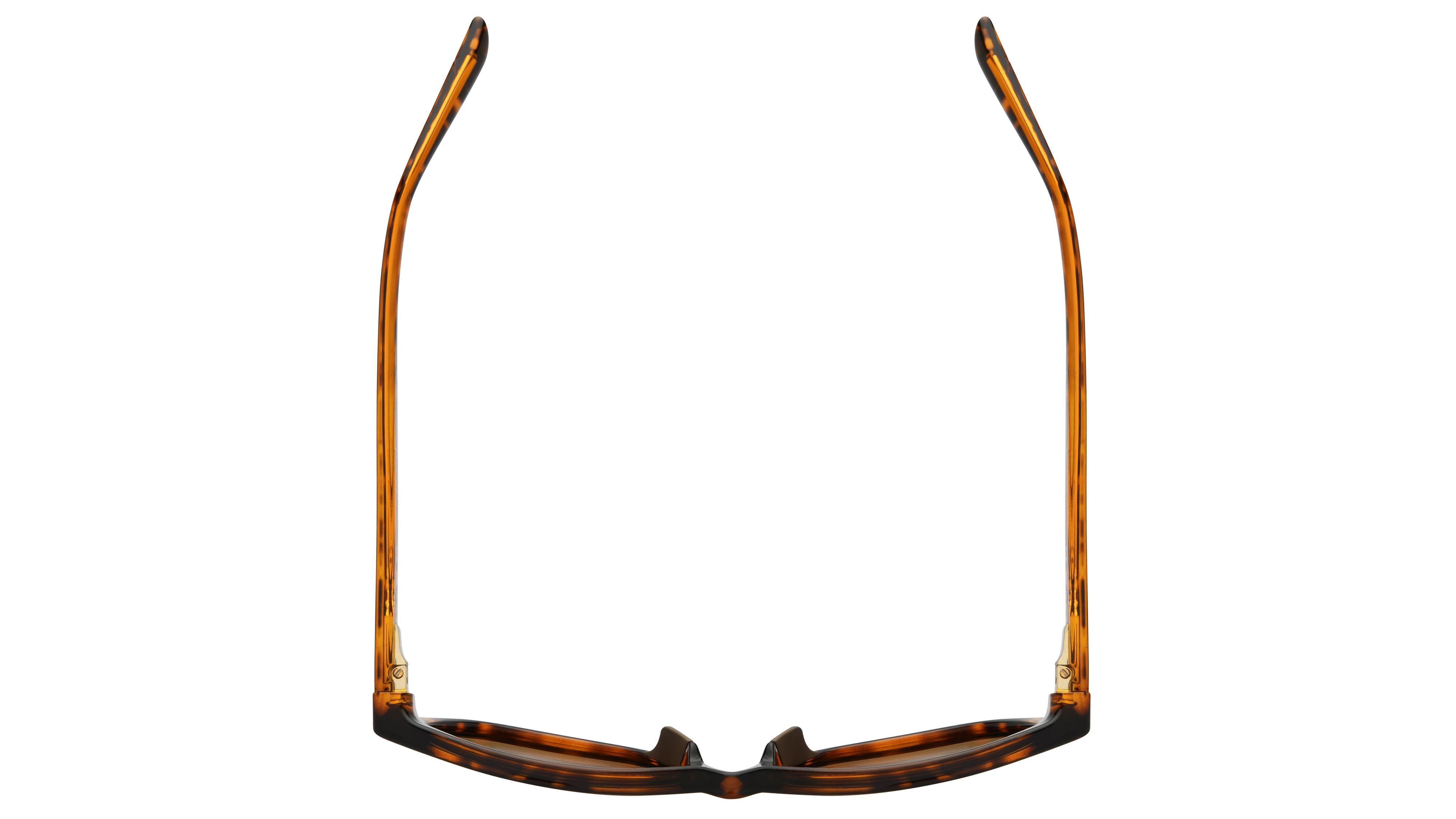 Lunettes de soleil  Femme Écaille Papillon Mj0344S Dessus