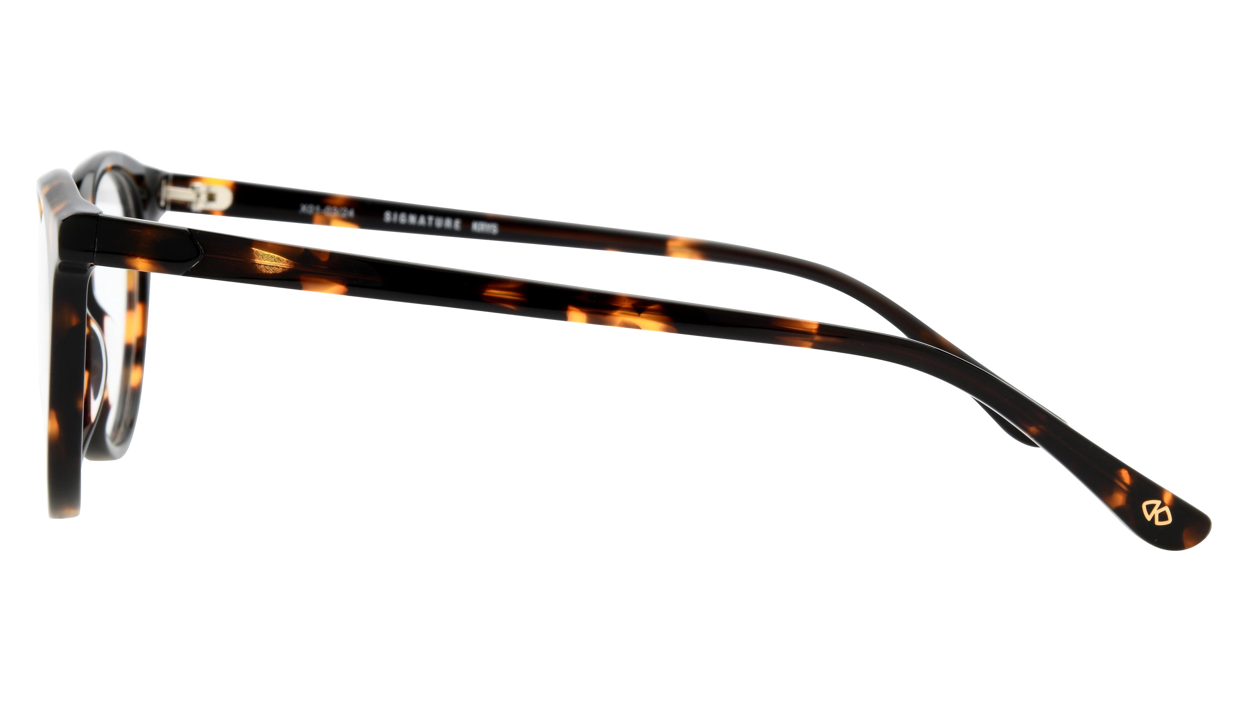 Lunettes de vue Signature Krys Homme Écaille Pantos Com2405 Gauche