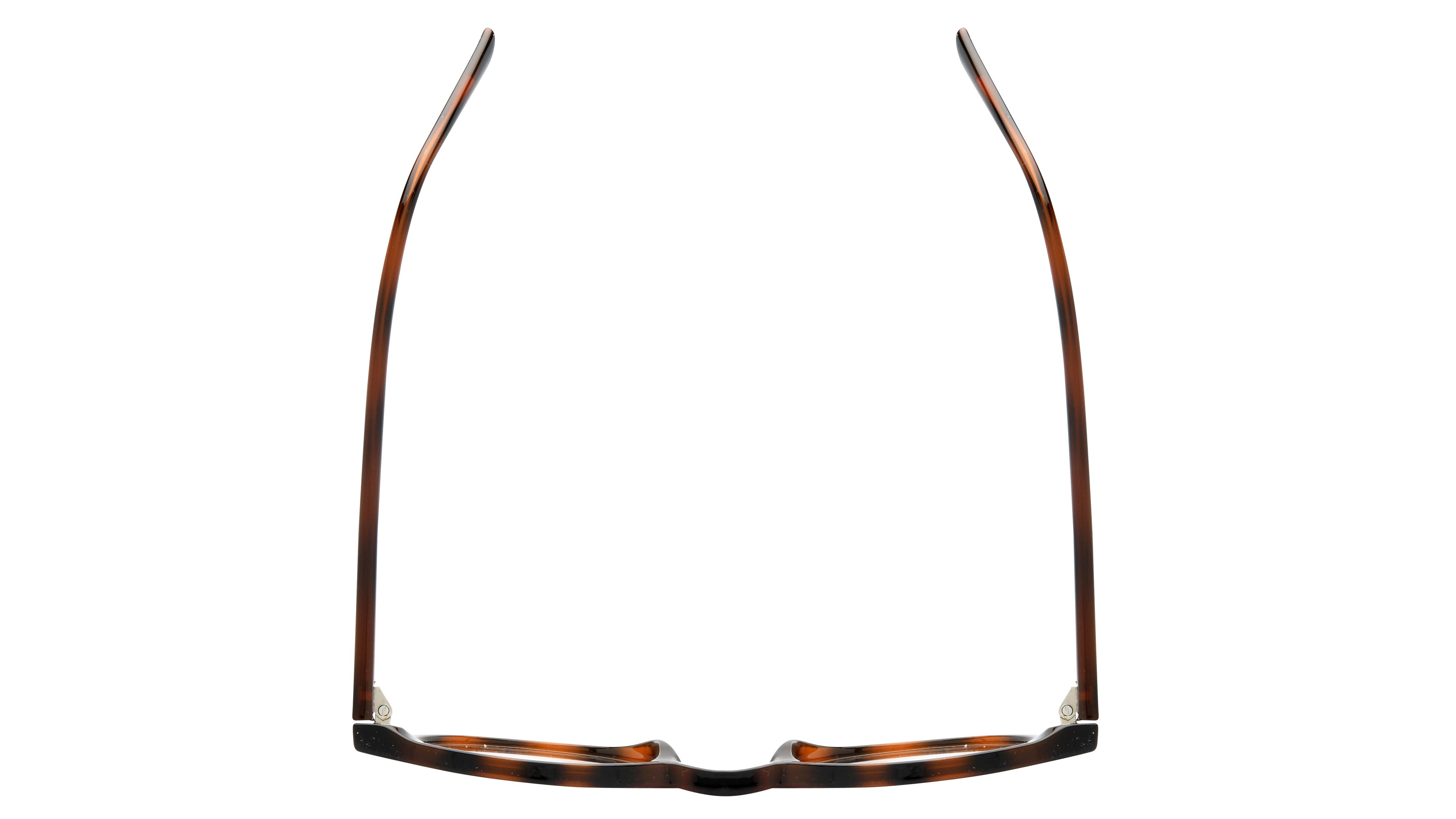 Lunettes de vue Signature Krys Homme Écaille Pantos Kor2404 Dessus