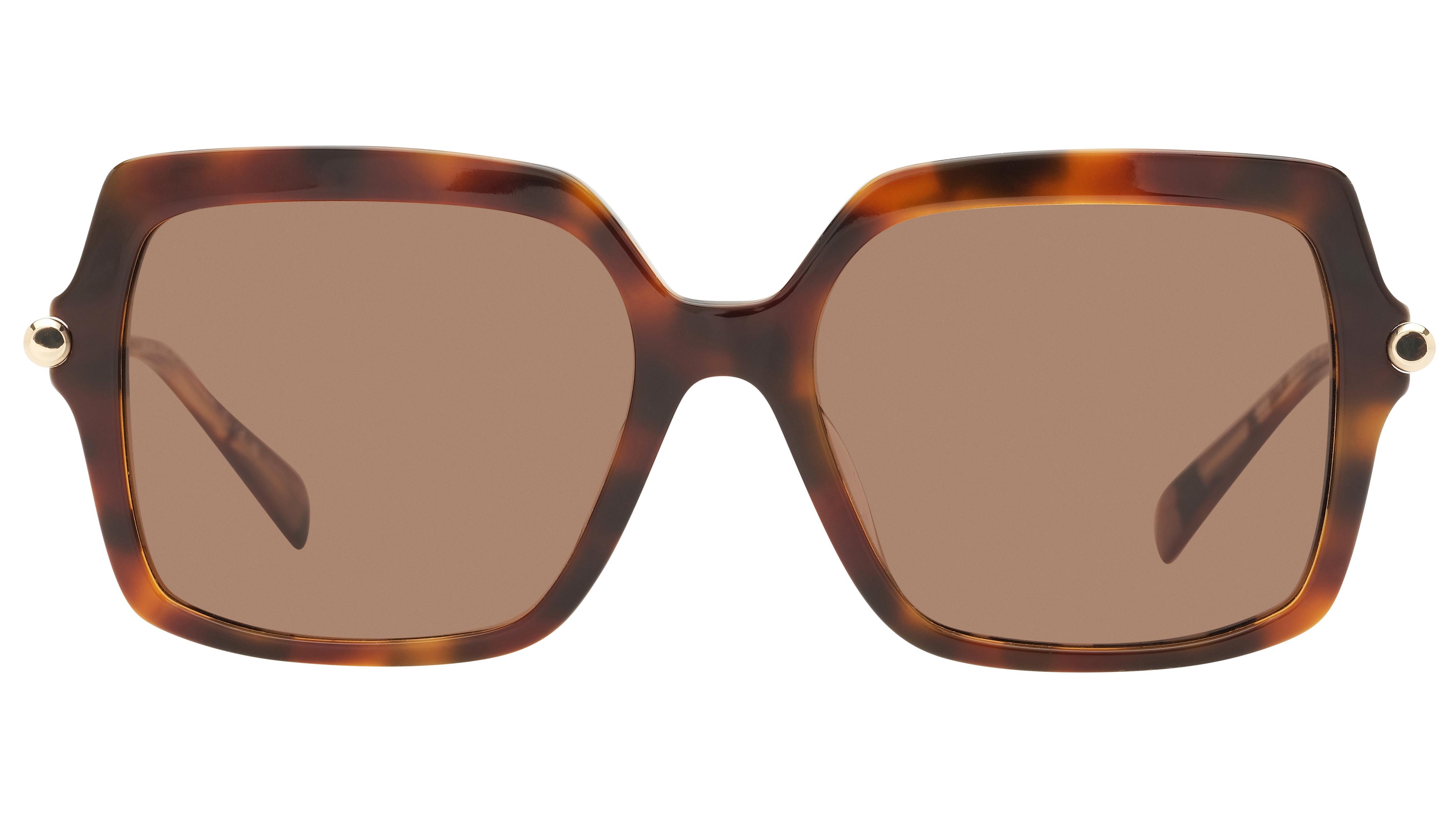 Lunettes de soleil Michael Kors Femme Écaille Carré mk2247u Face