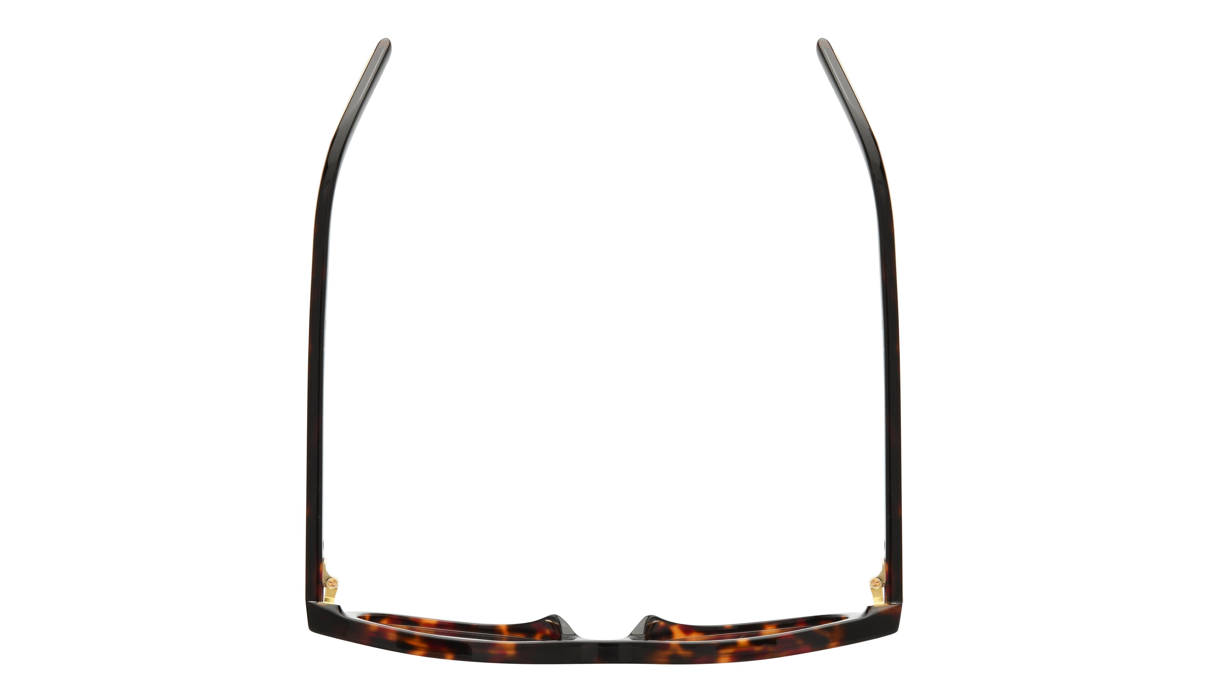 Lunettes de vue Prada Femme Écaille Ovale PR Dessus