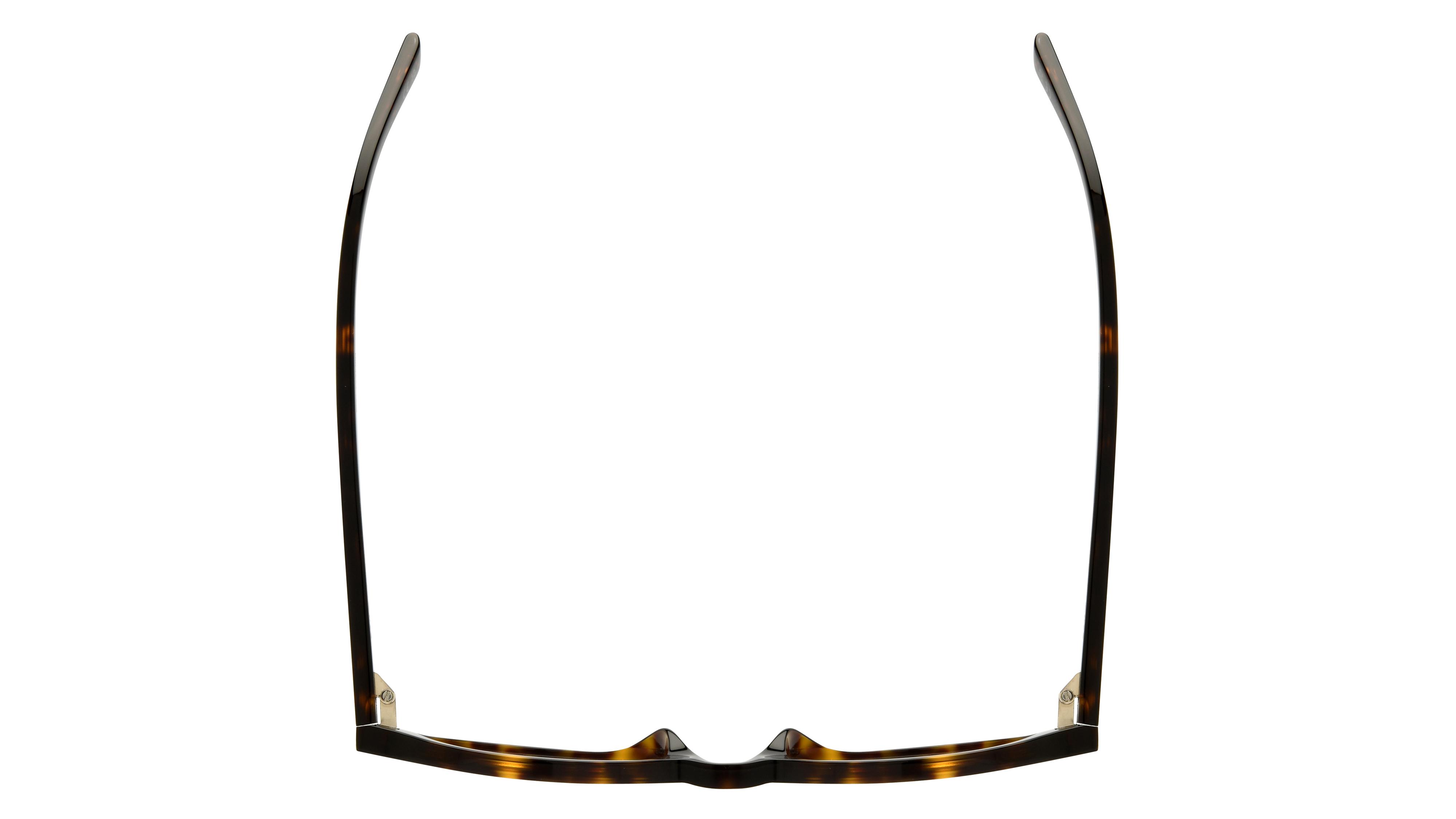 Lunettes de vue Saint Laurent Femme Écaille Ovale Sl Dessus
