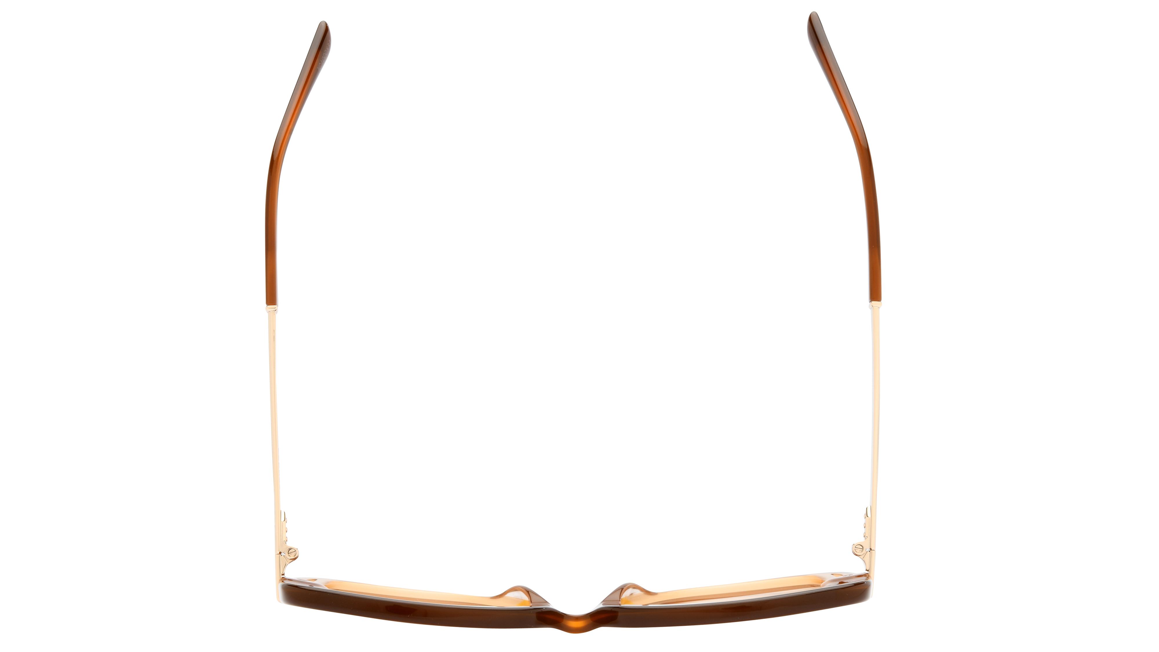Lunettes de soleil Sandro Femme Marron Rectangle Sd6048 Dessus