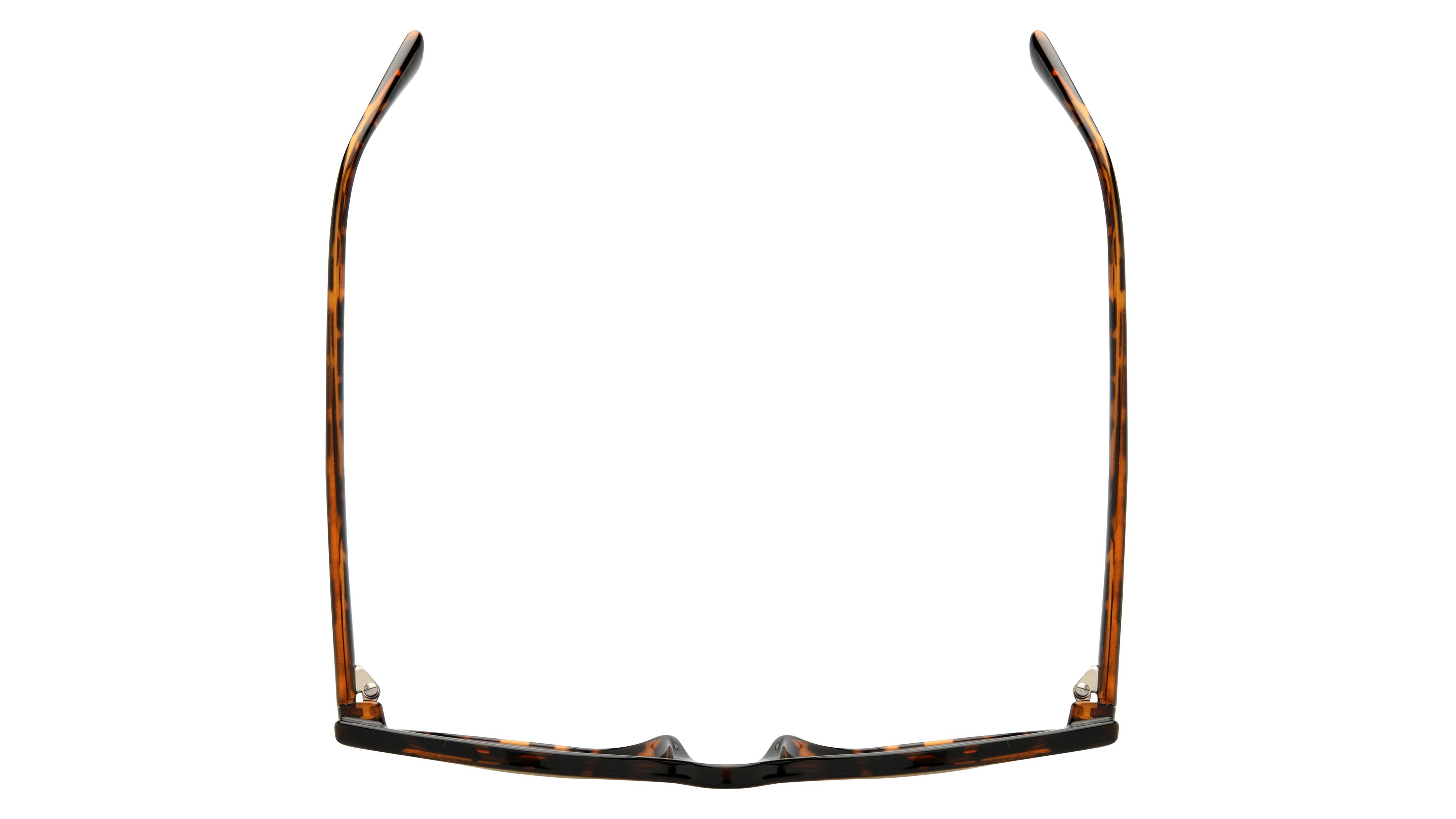 Lunettes de soleil Alternance Femme Écaille Papillon Alt25201 Dessus