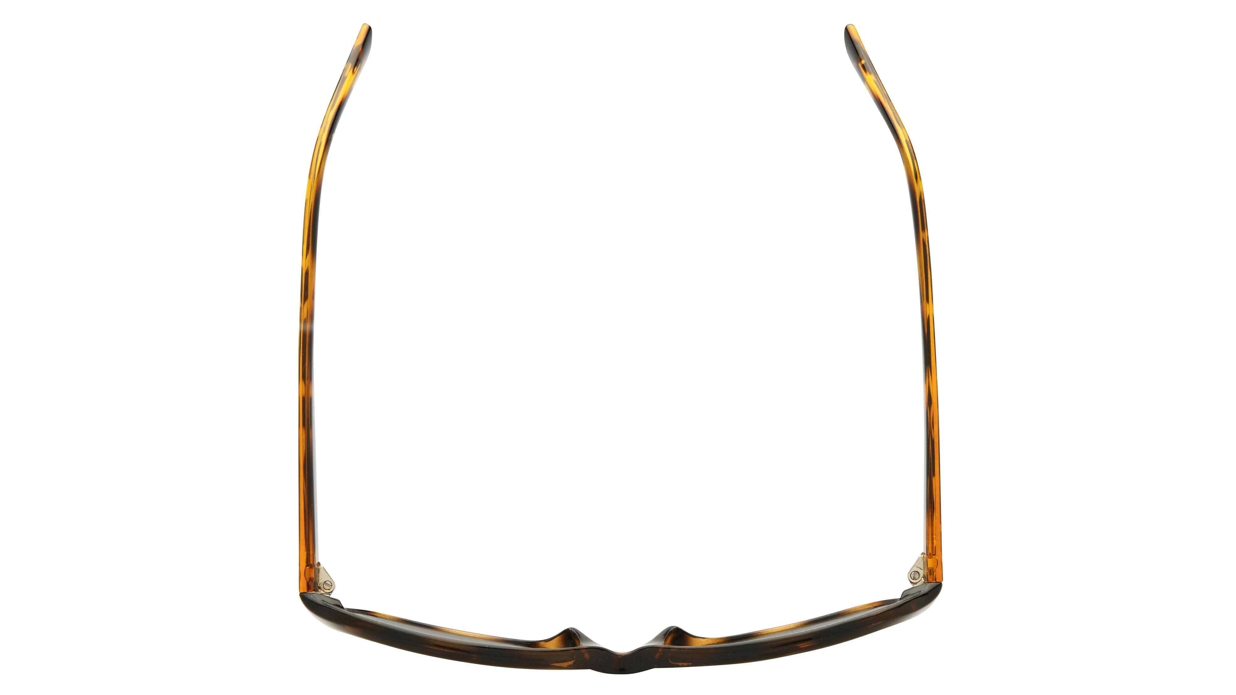 Lunettes de soleil Alternance Femme Écaille Rectangle alt18205 Dessus