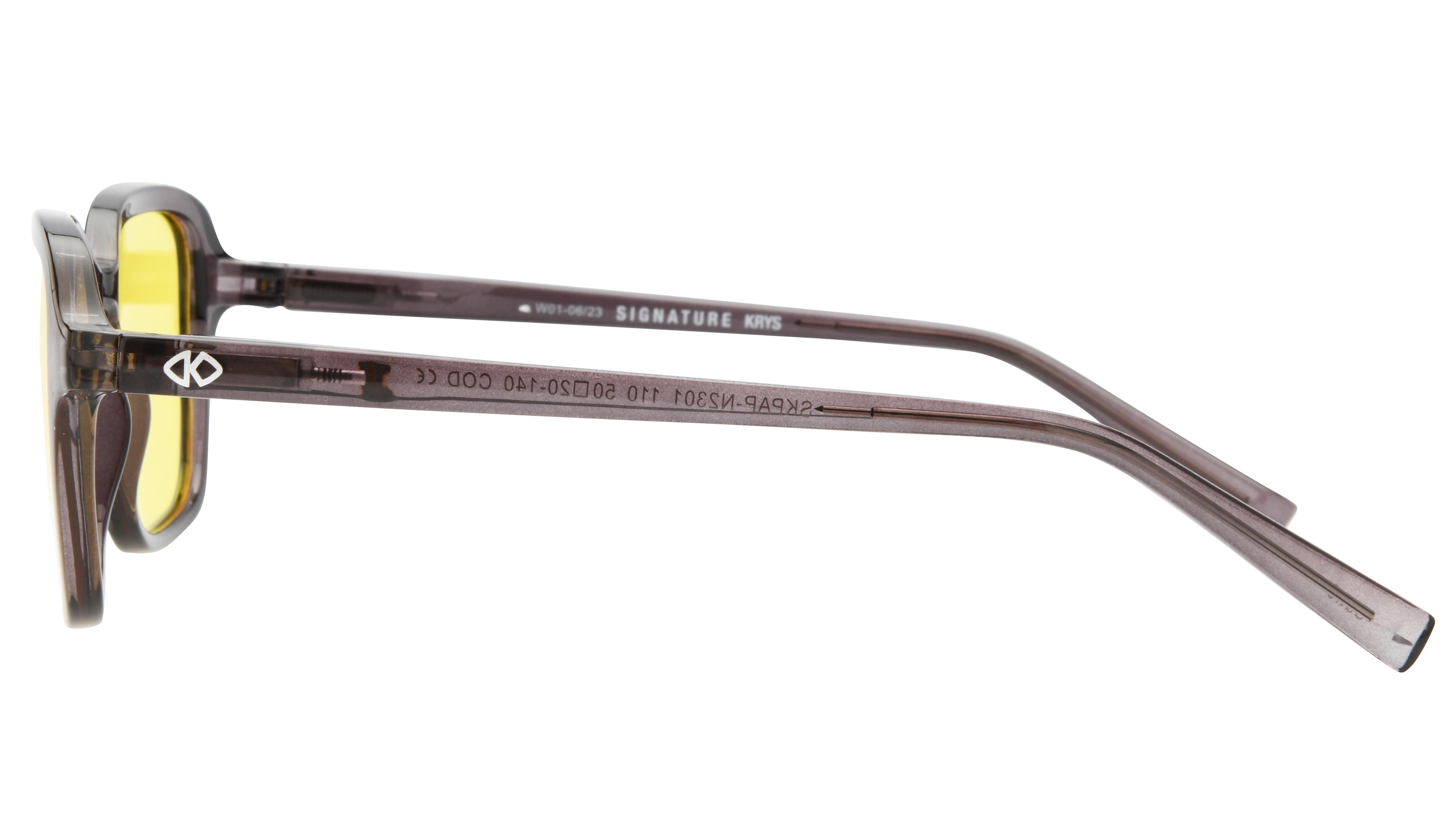 Lunettes de vue Signature Krys Mixte Gris Rectangle Skpap-N2301 Gauche