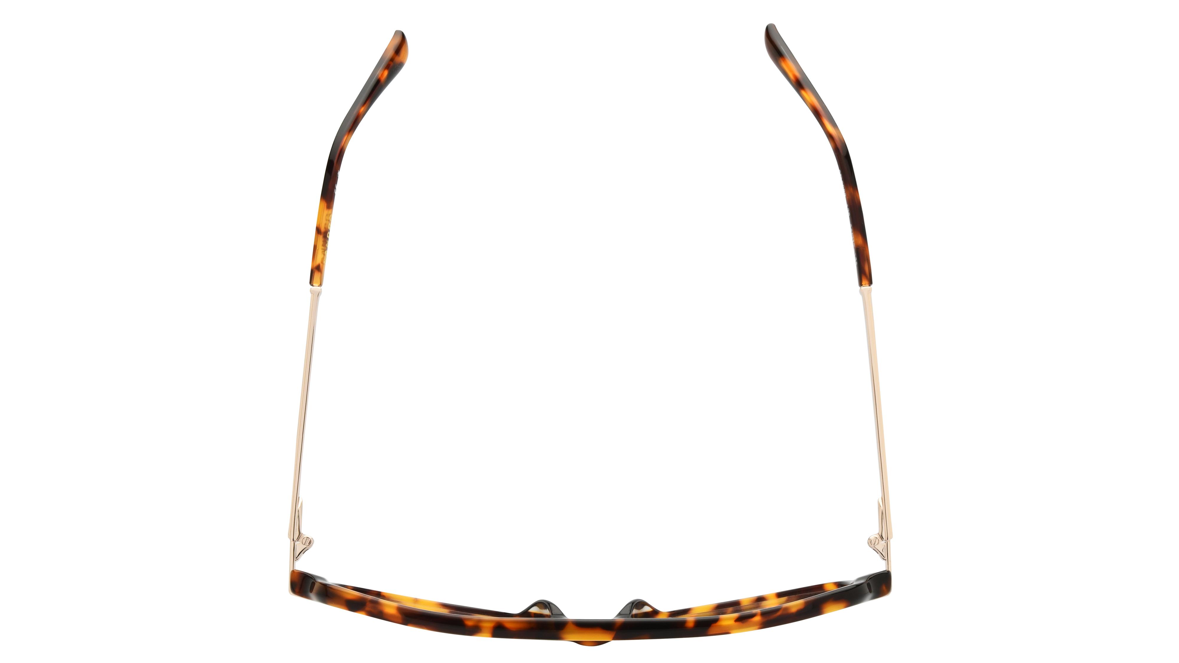 Lunettes de vue Sandro Femme Écaille Aviateur SD2082 Dessus