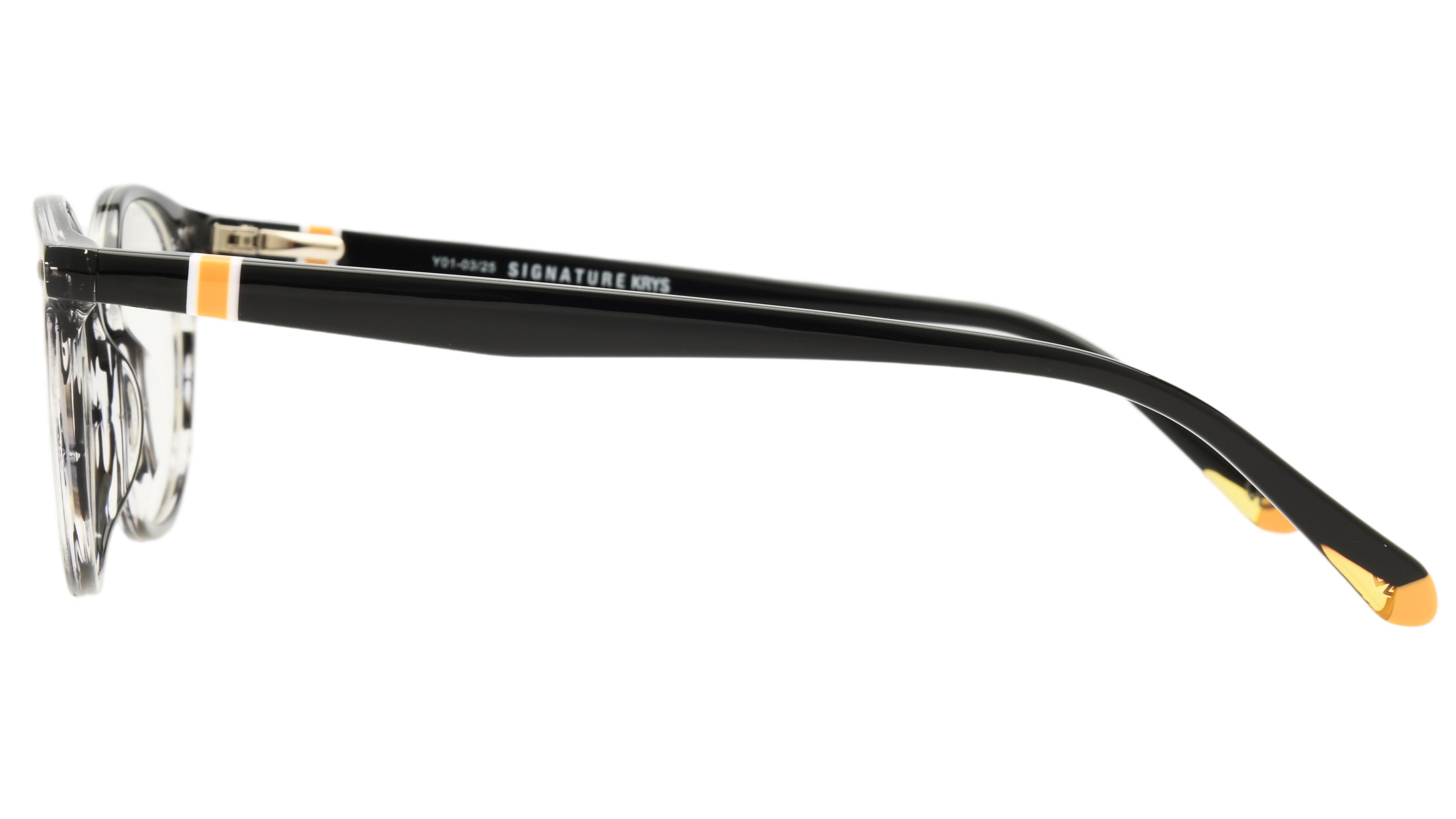 Lunettes de vue Signature Krys Homme Gris Pantos Moj2502 Gauche