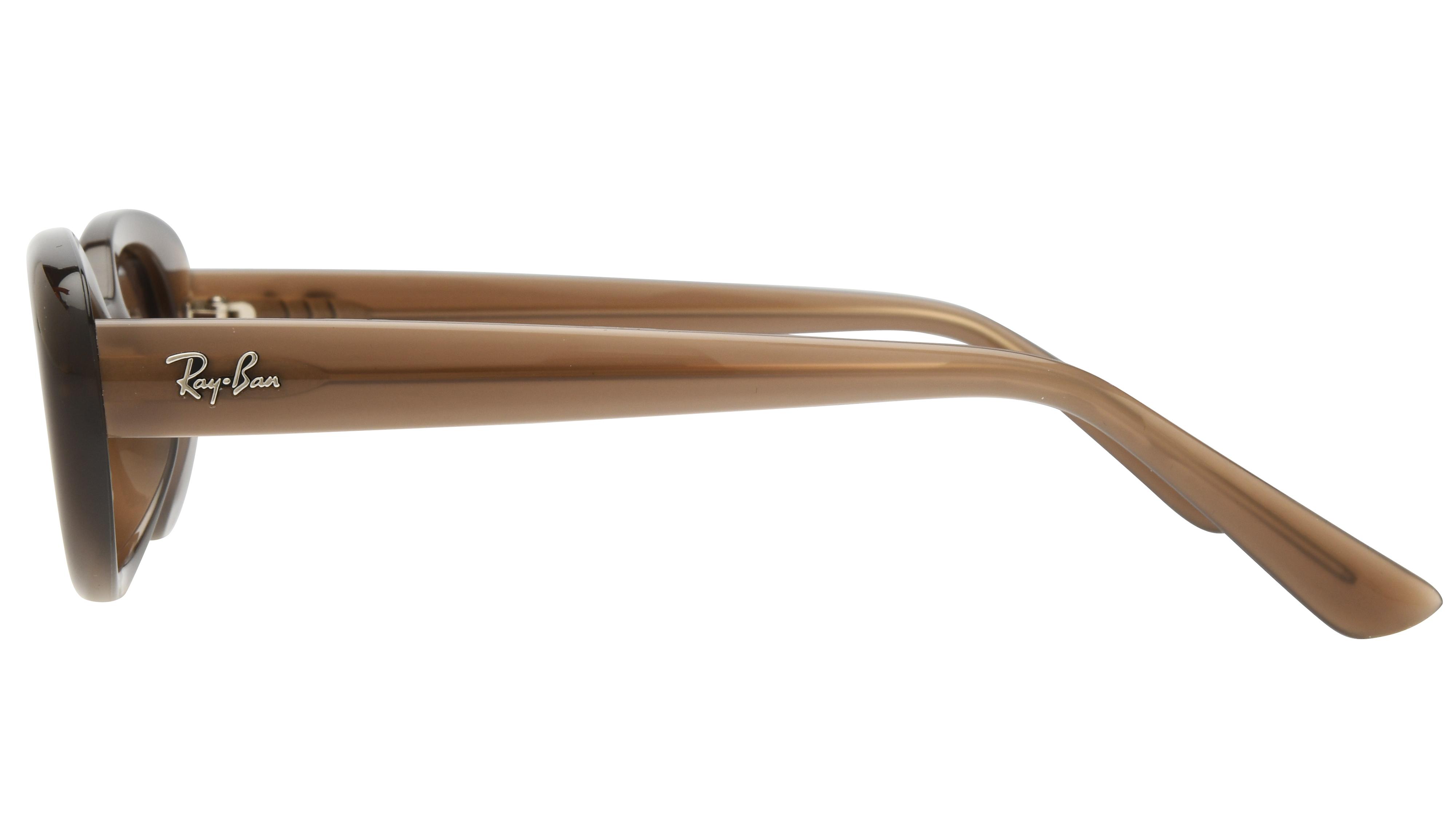 Lunettes de soleil Ray-Ban Mixte Marron Ovale RB4441D Gauche